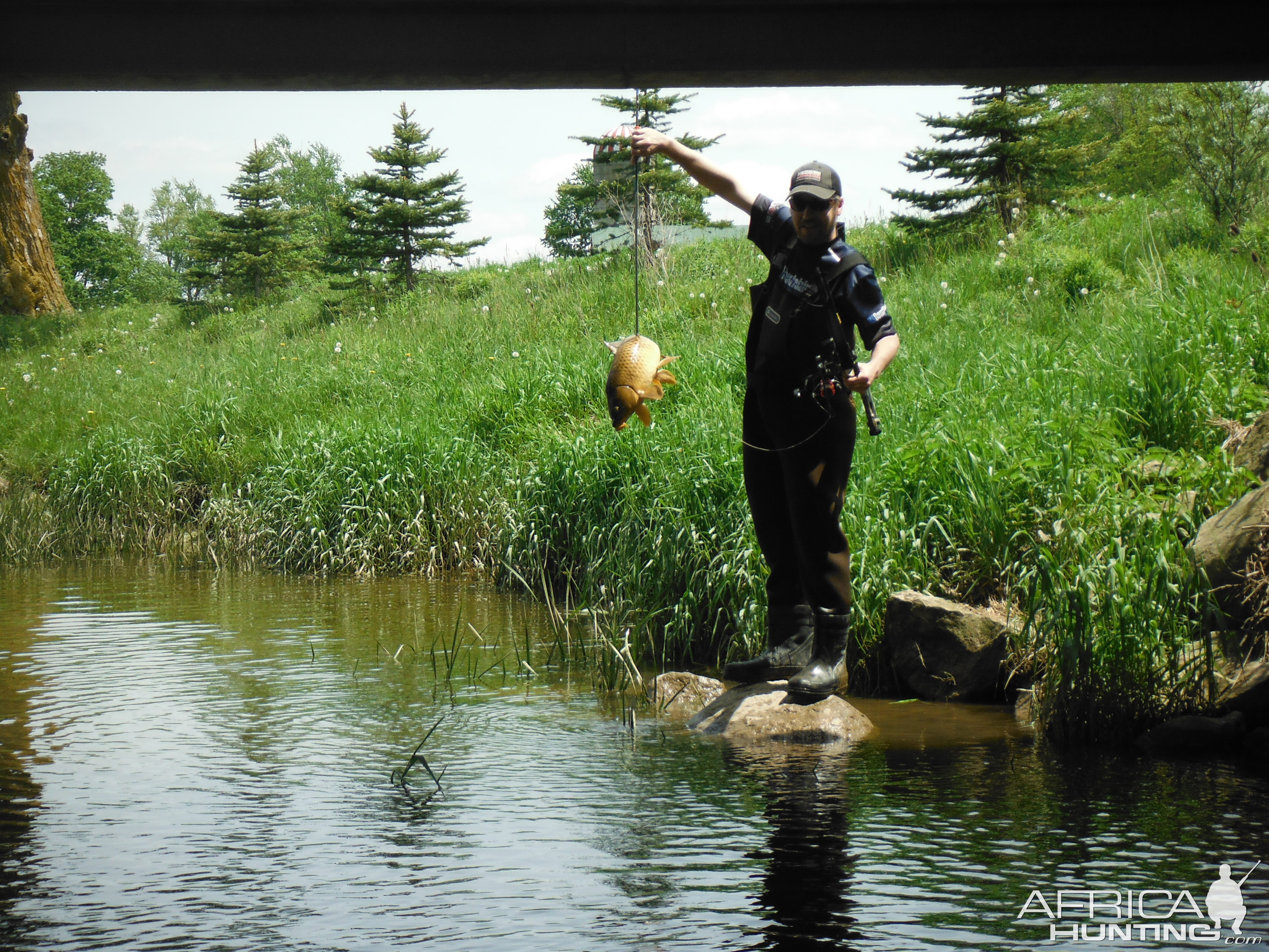 Carp Bow Fishing