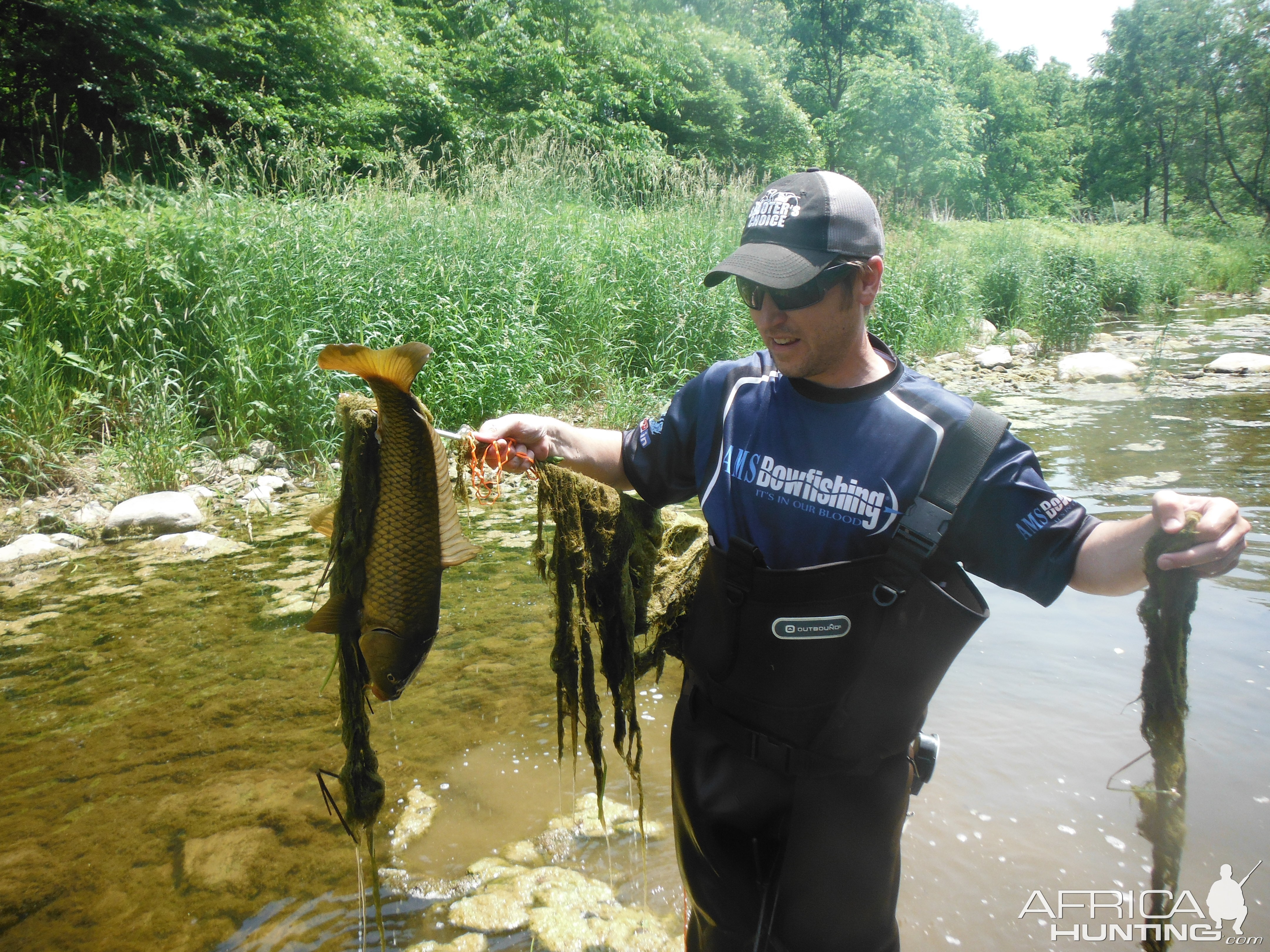 Carp Bow Fishing