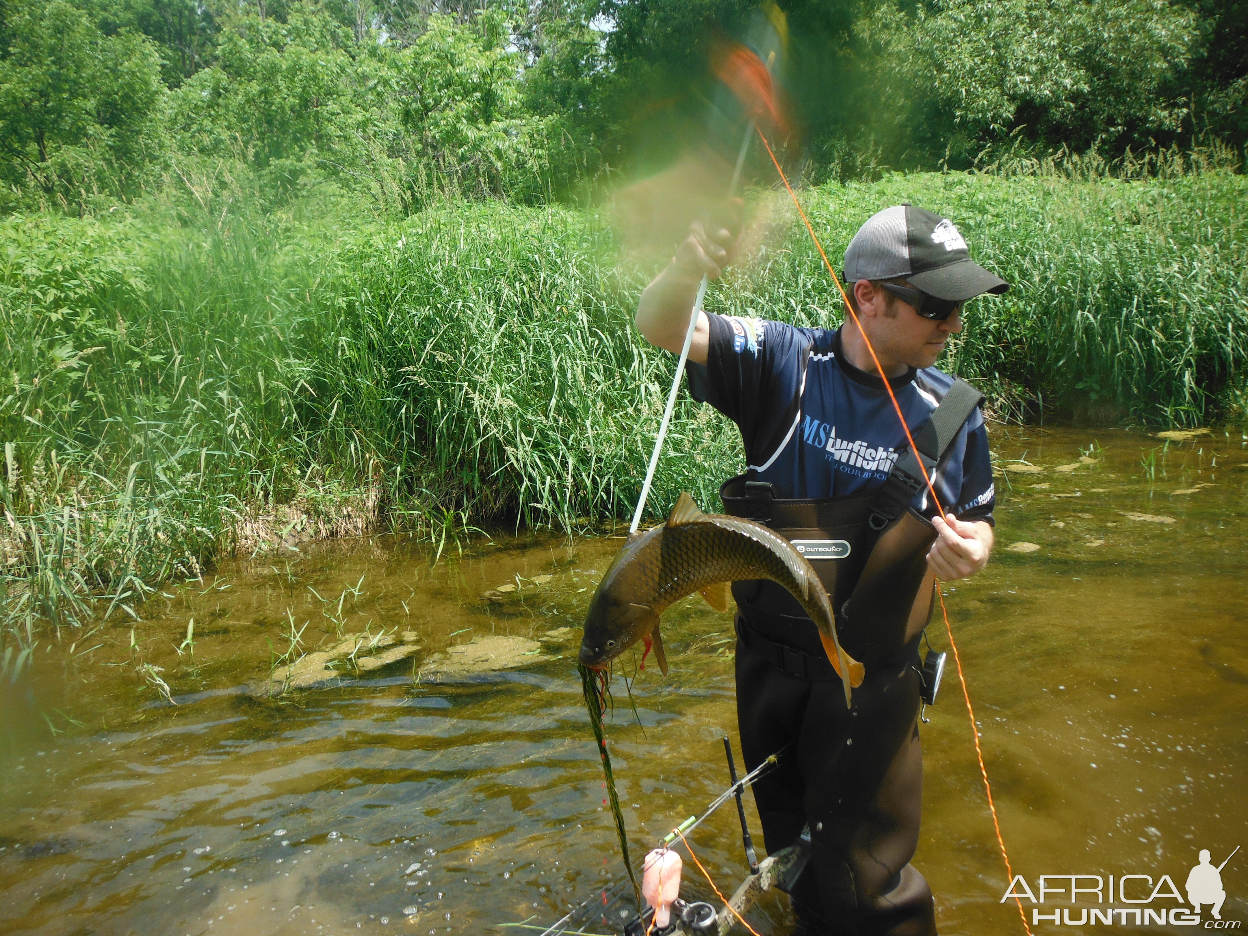 Carp Bow Fishing