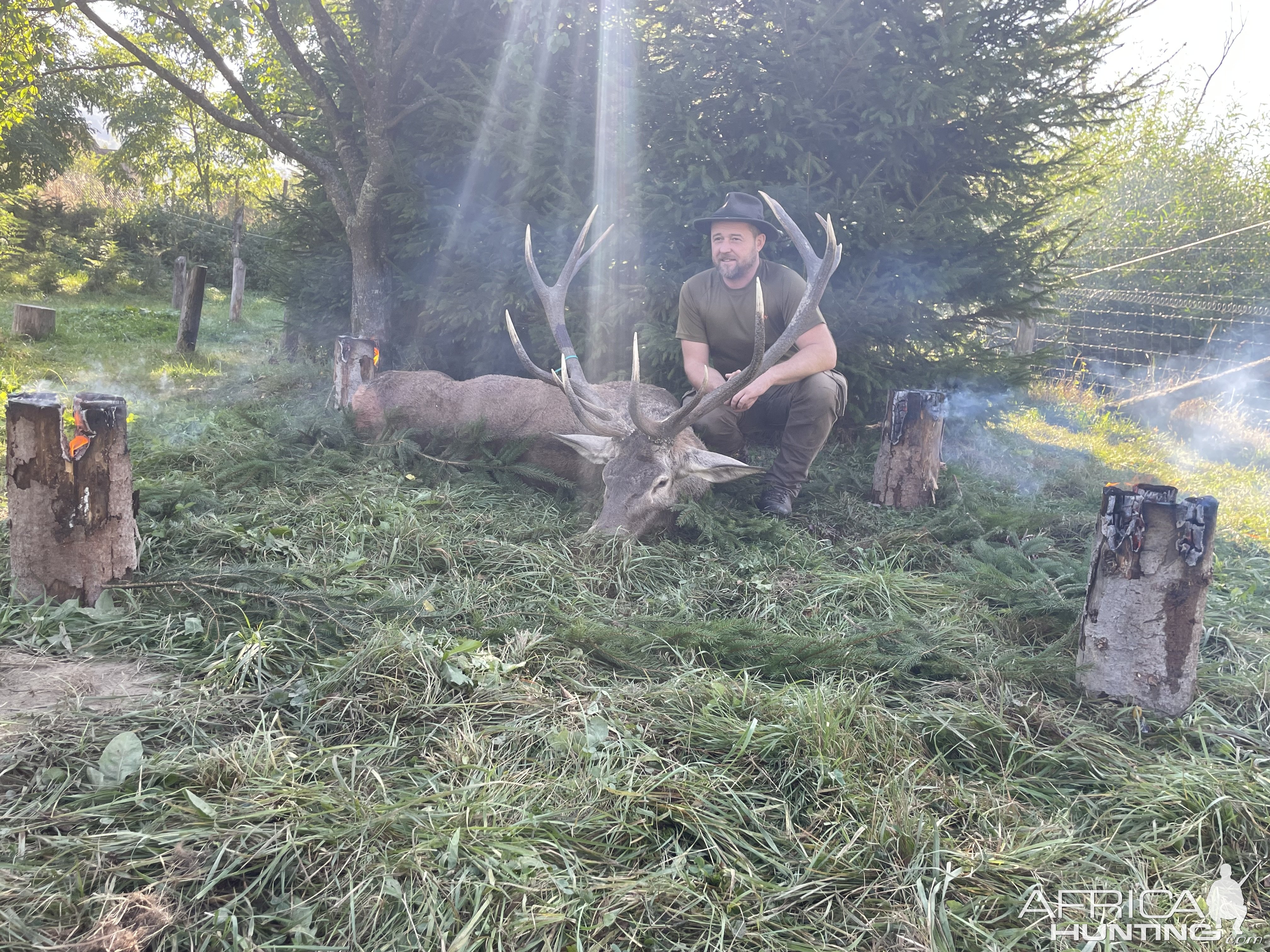 Carpathian Red Stag Hunt Romania