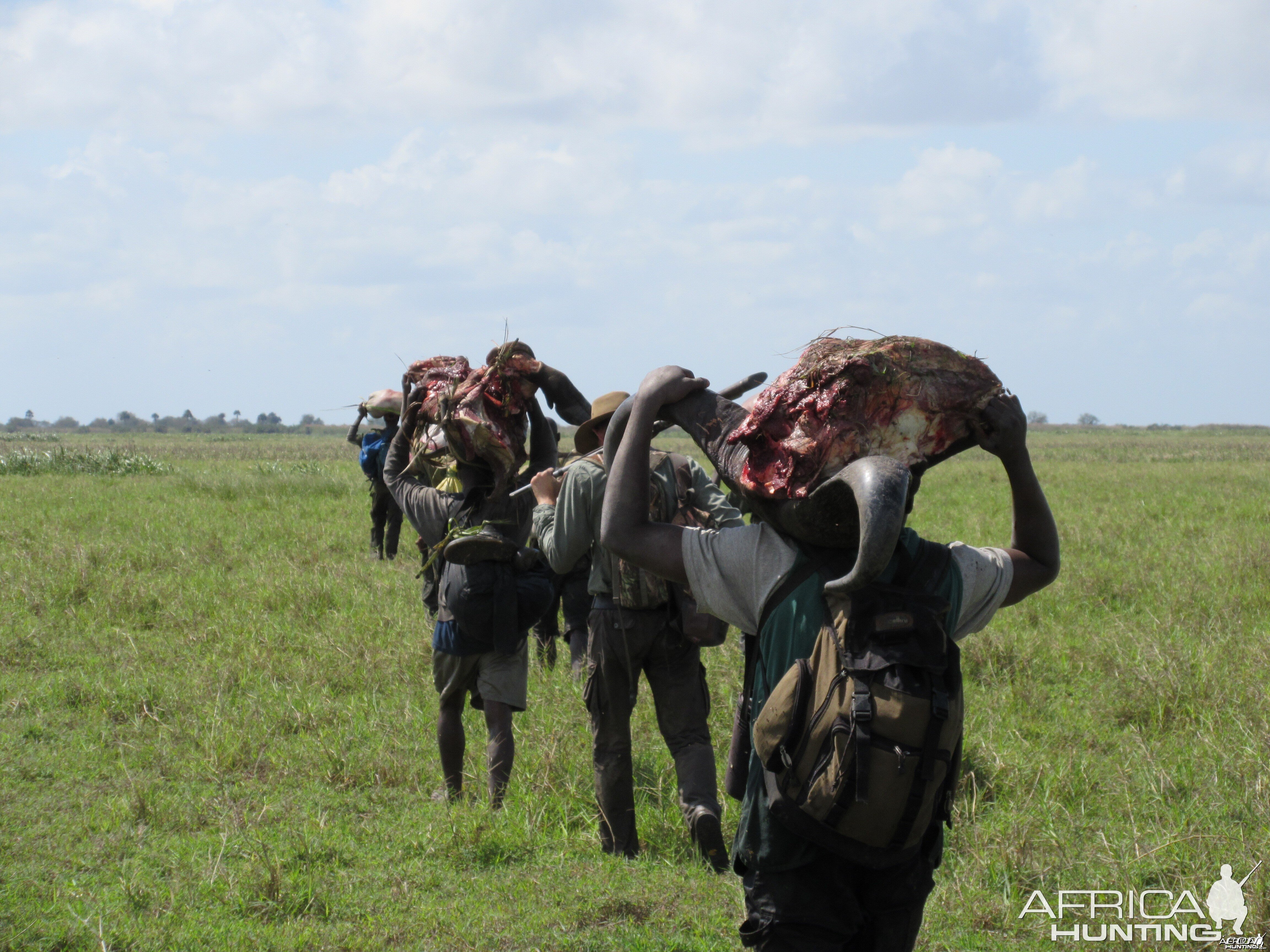 Carrying out meat and trophies - Coutada 14