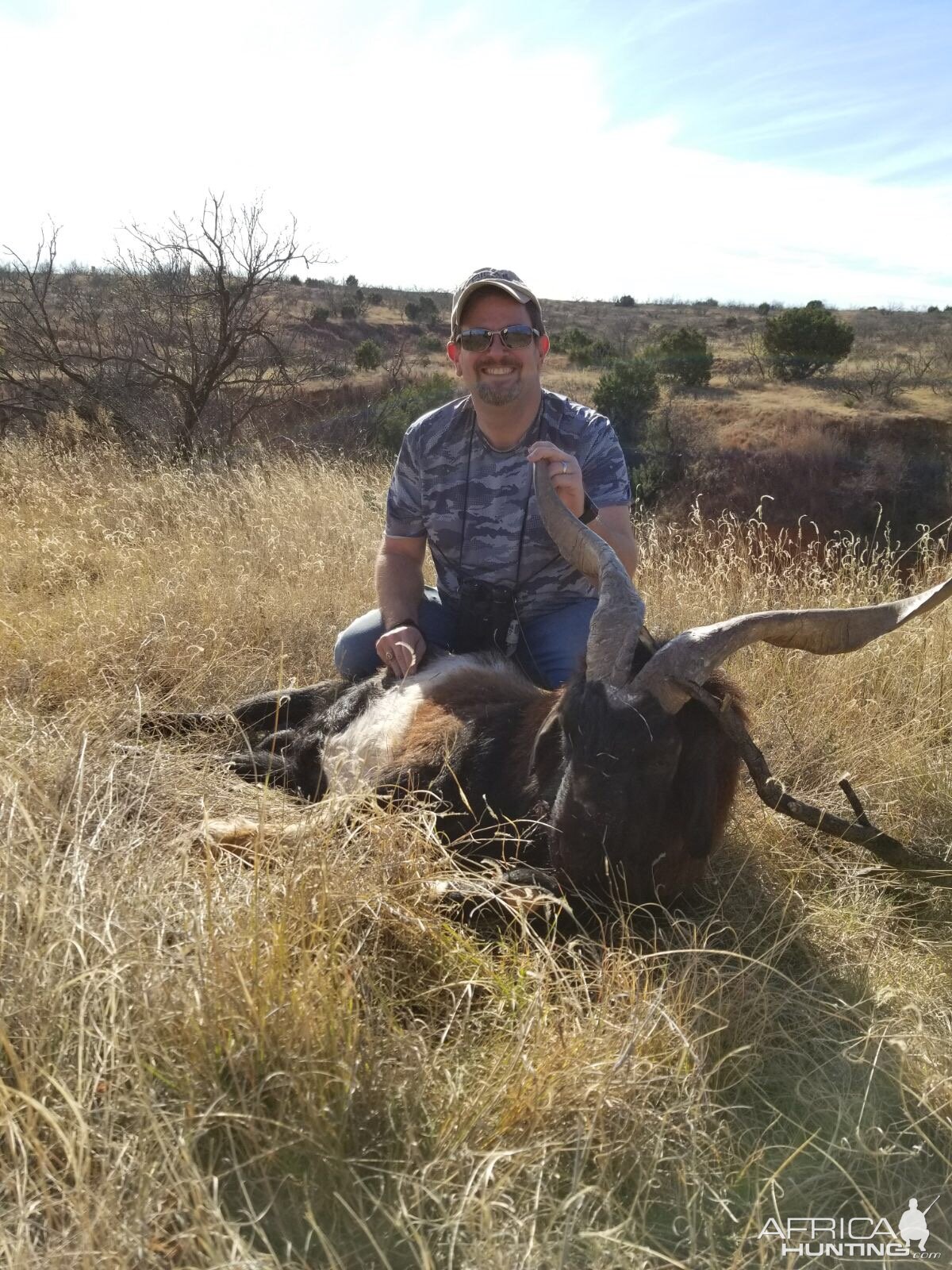 Catalina Goat Hunt Texas