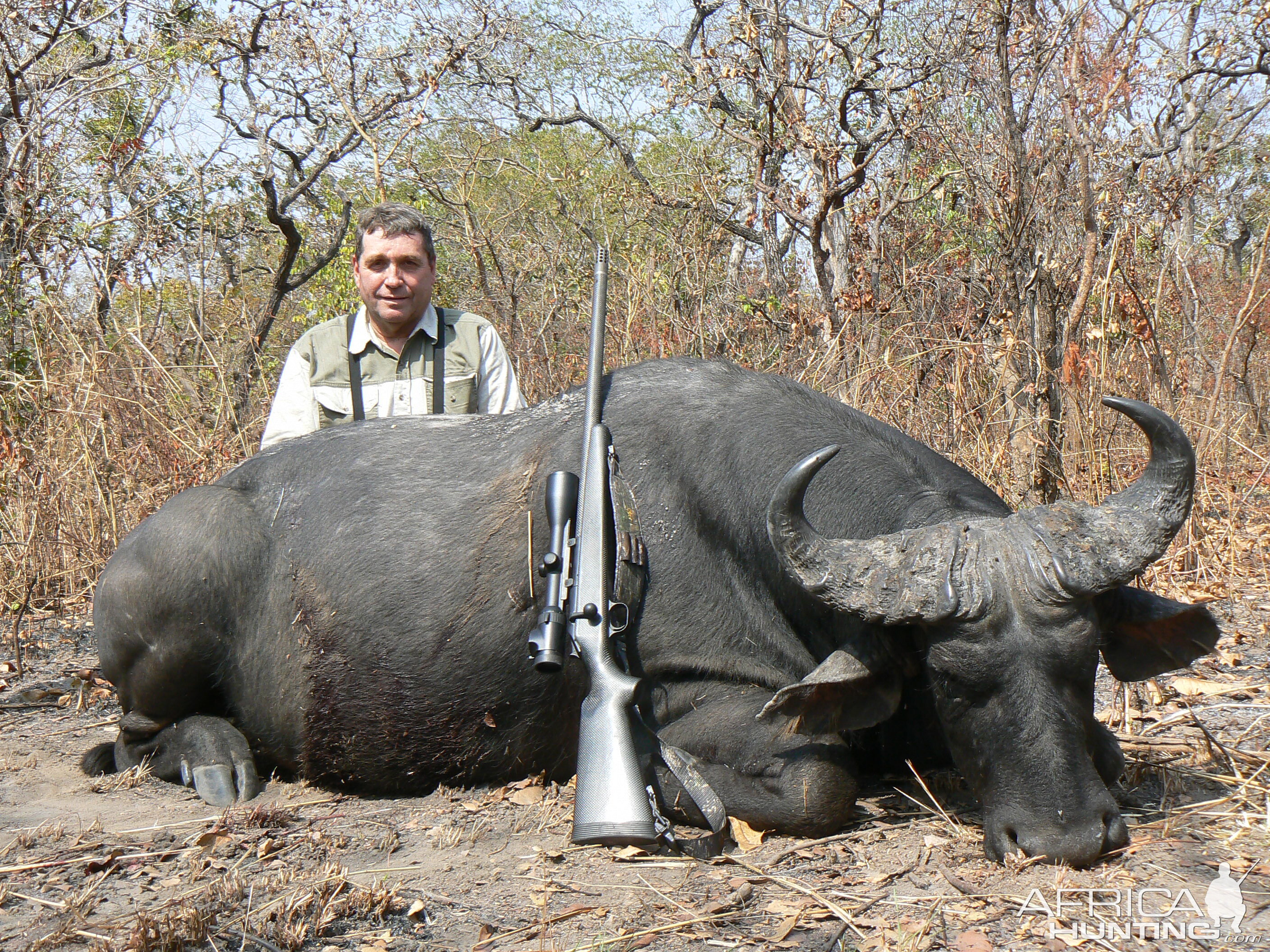 Central African Savannah Buffalo hunted in Central Africa with Club Faune