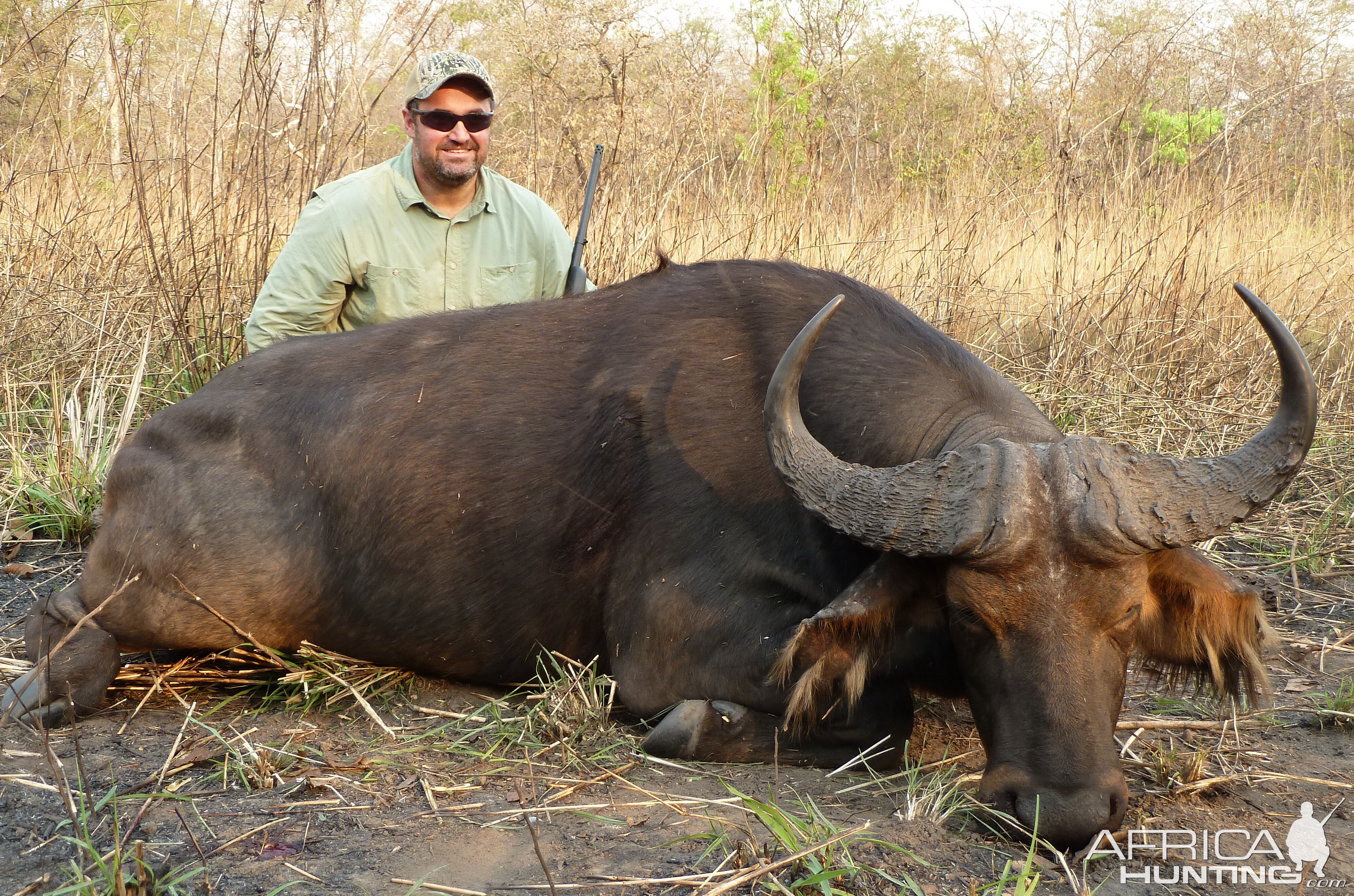 Central African Savannah Buffalo hunted in Central Africa with Club Faune