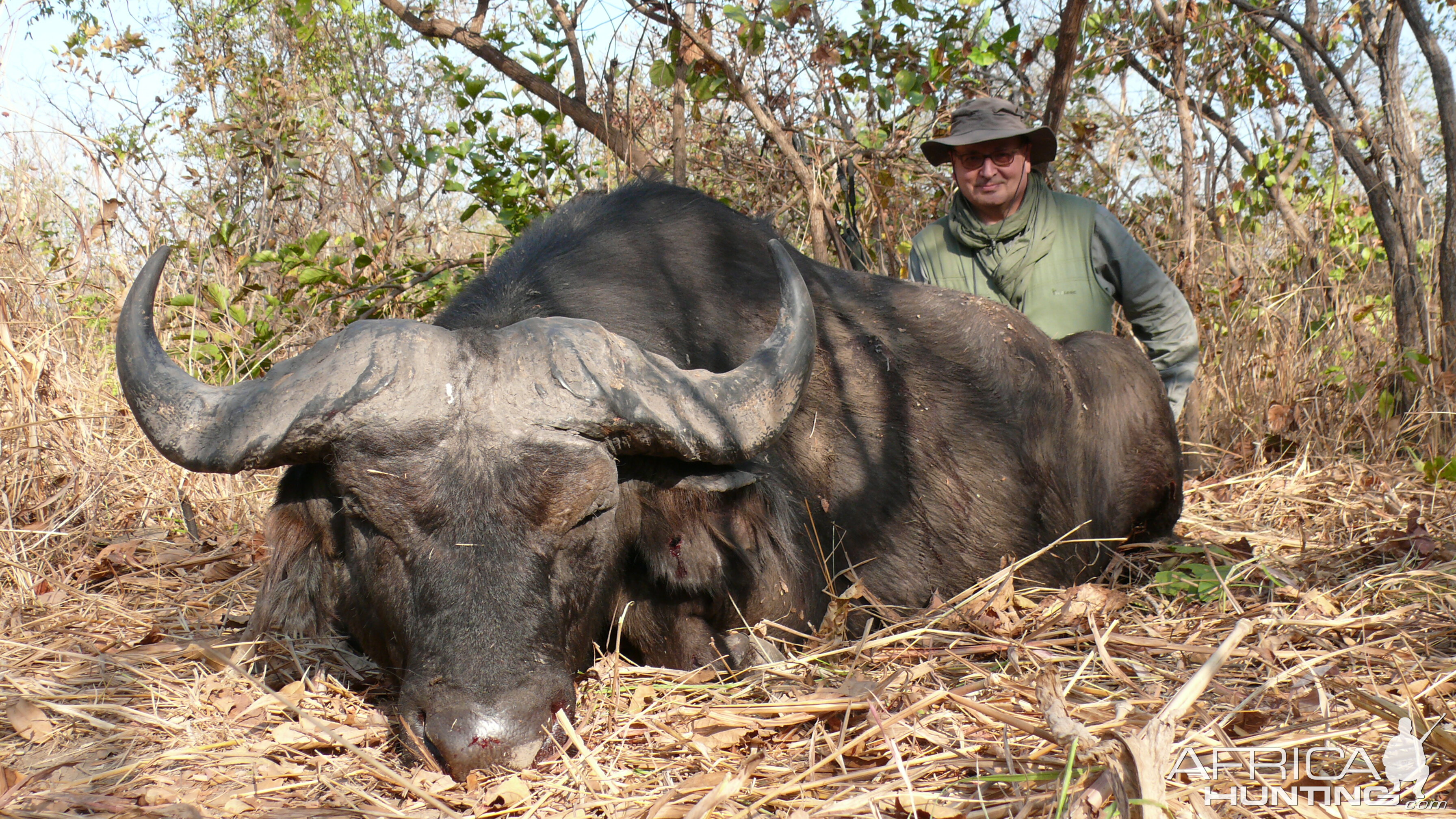 Central African Savannah Buffalo hunted in Central Africa with Club Faune