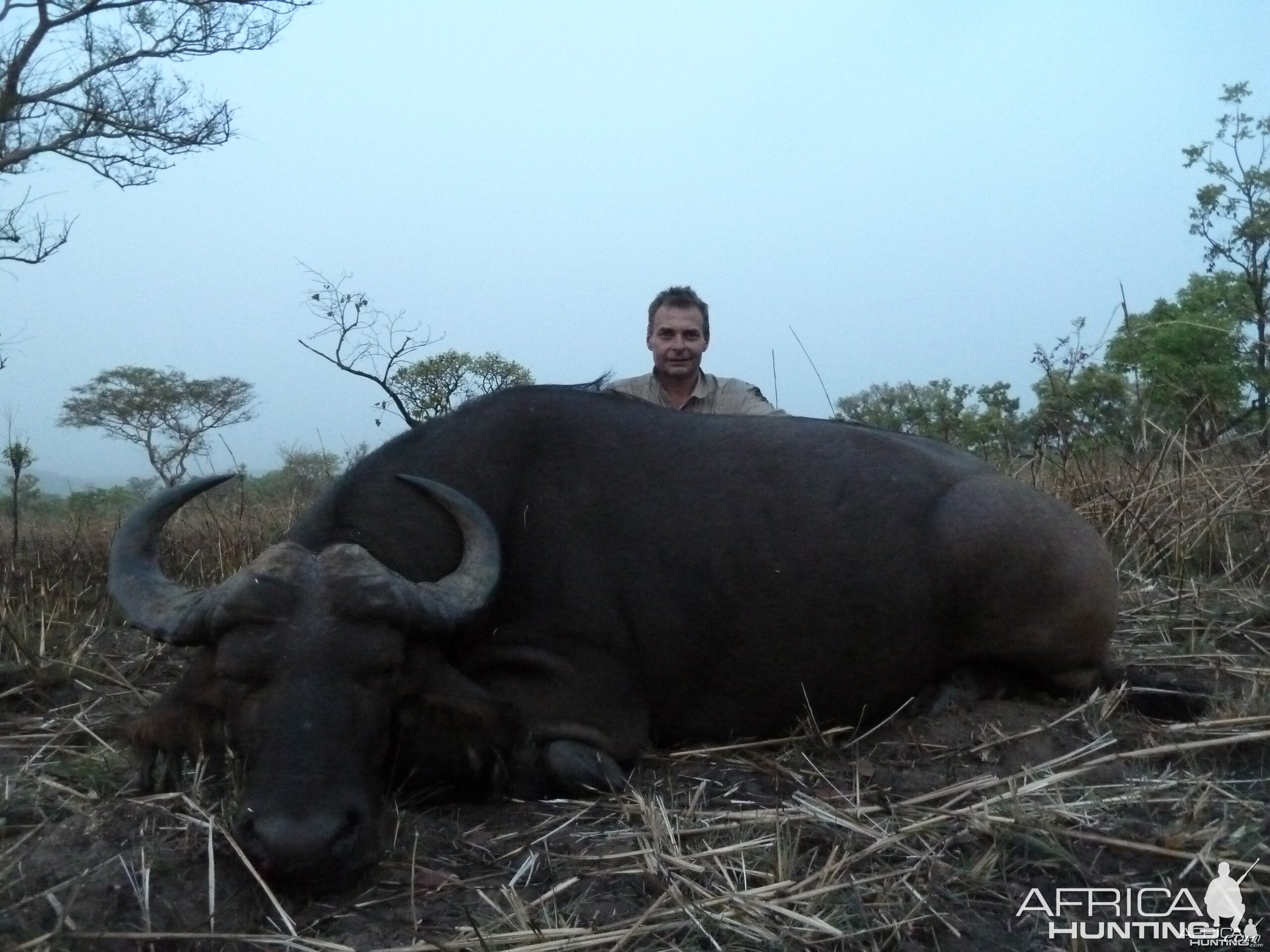 Central African Savannah Buffalo hunted in Central Africa with Club Faune