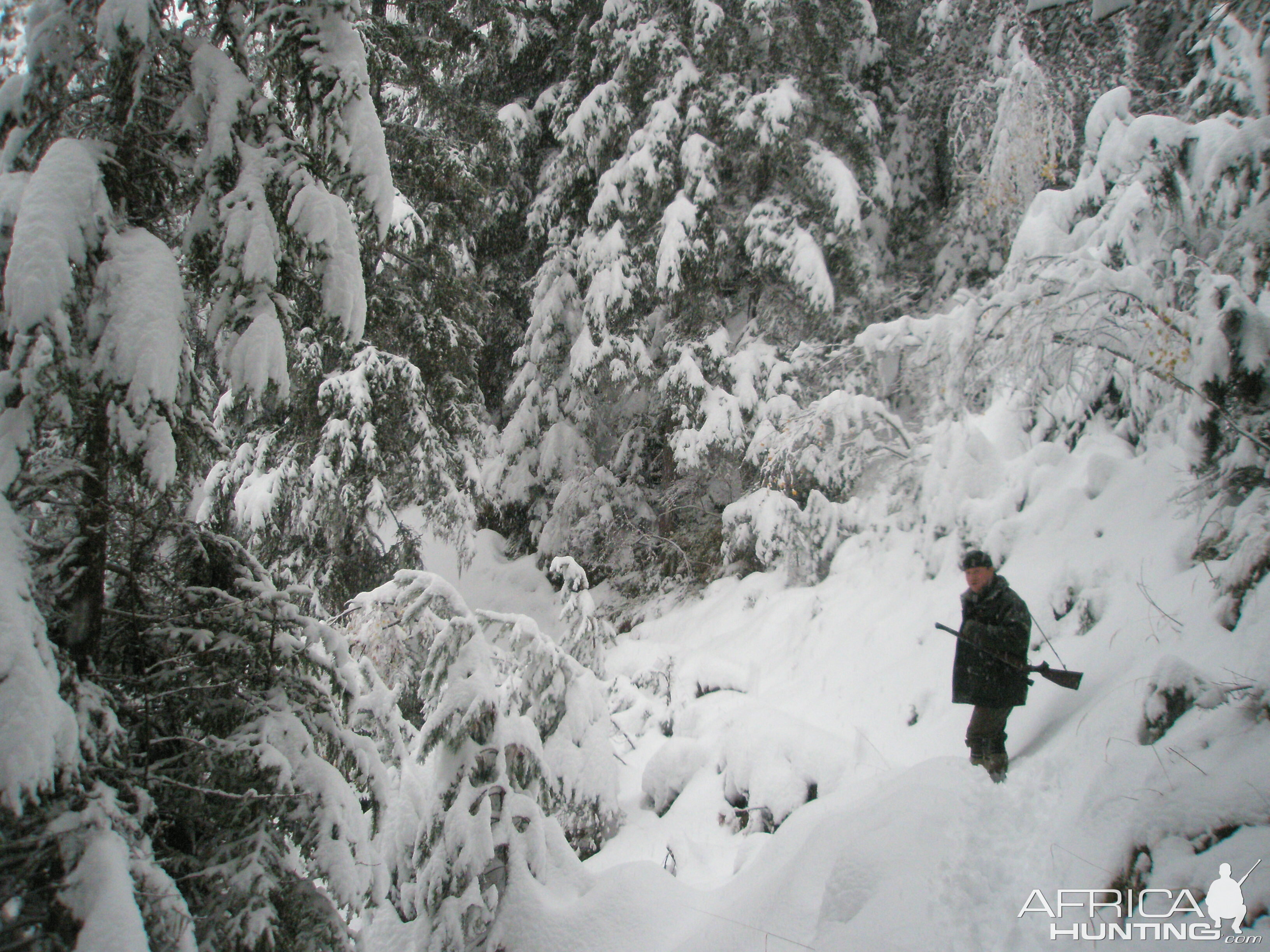 Chamois Hunting in the French Alps | AfricaHunting.com