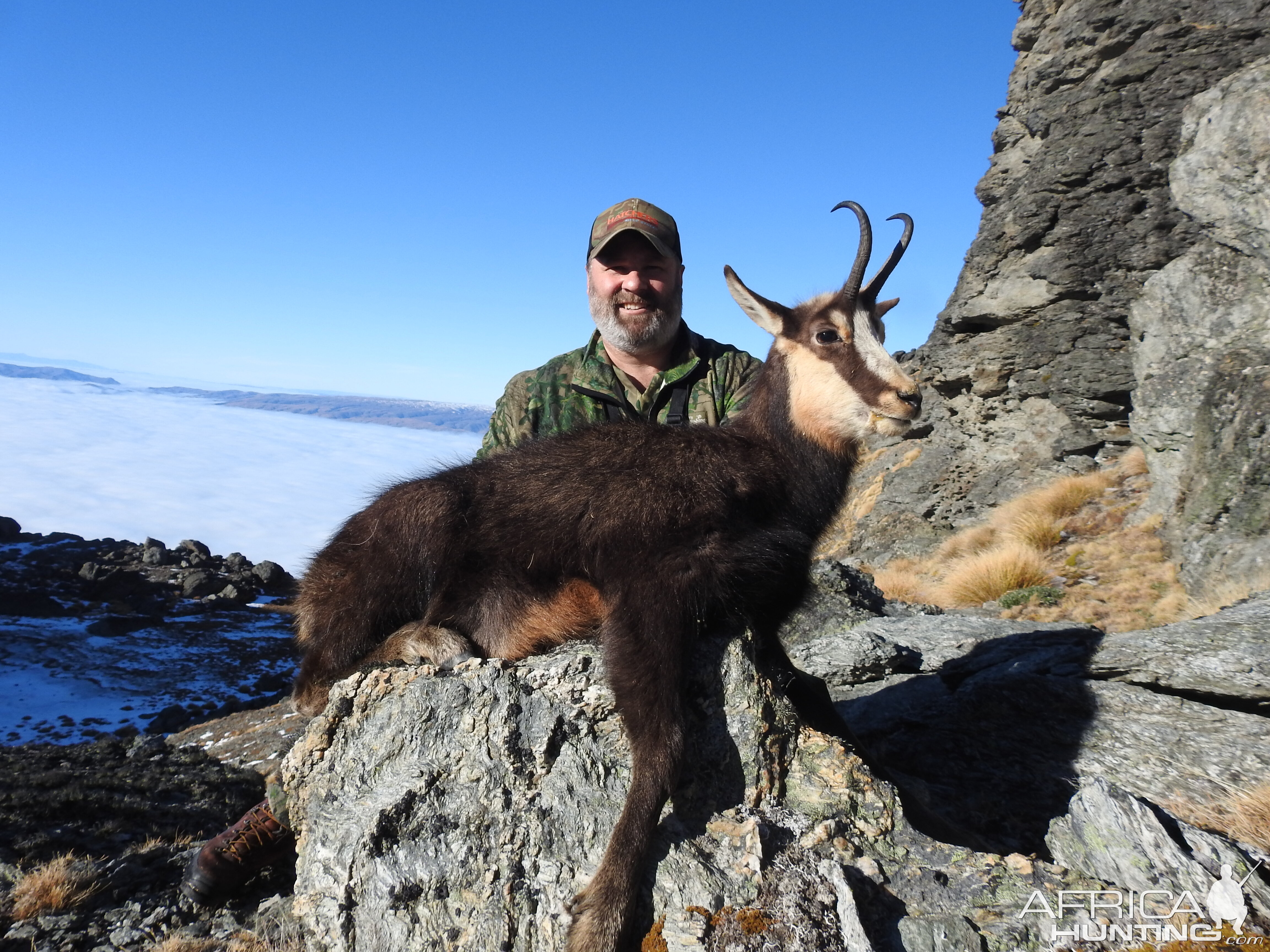 Chamois Hunting New Zealand