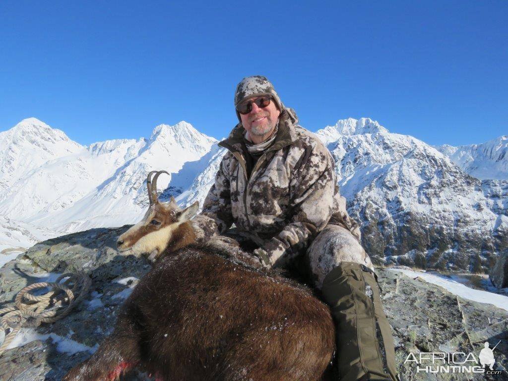 Chamois Hunting New Zealand