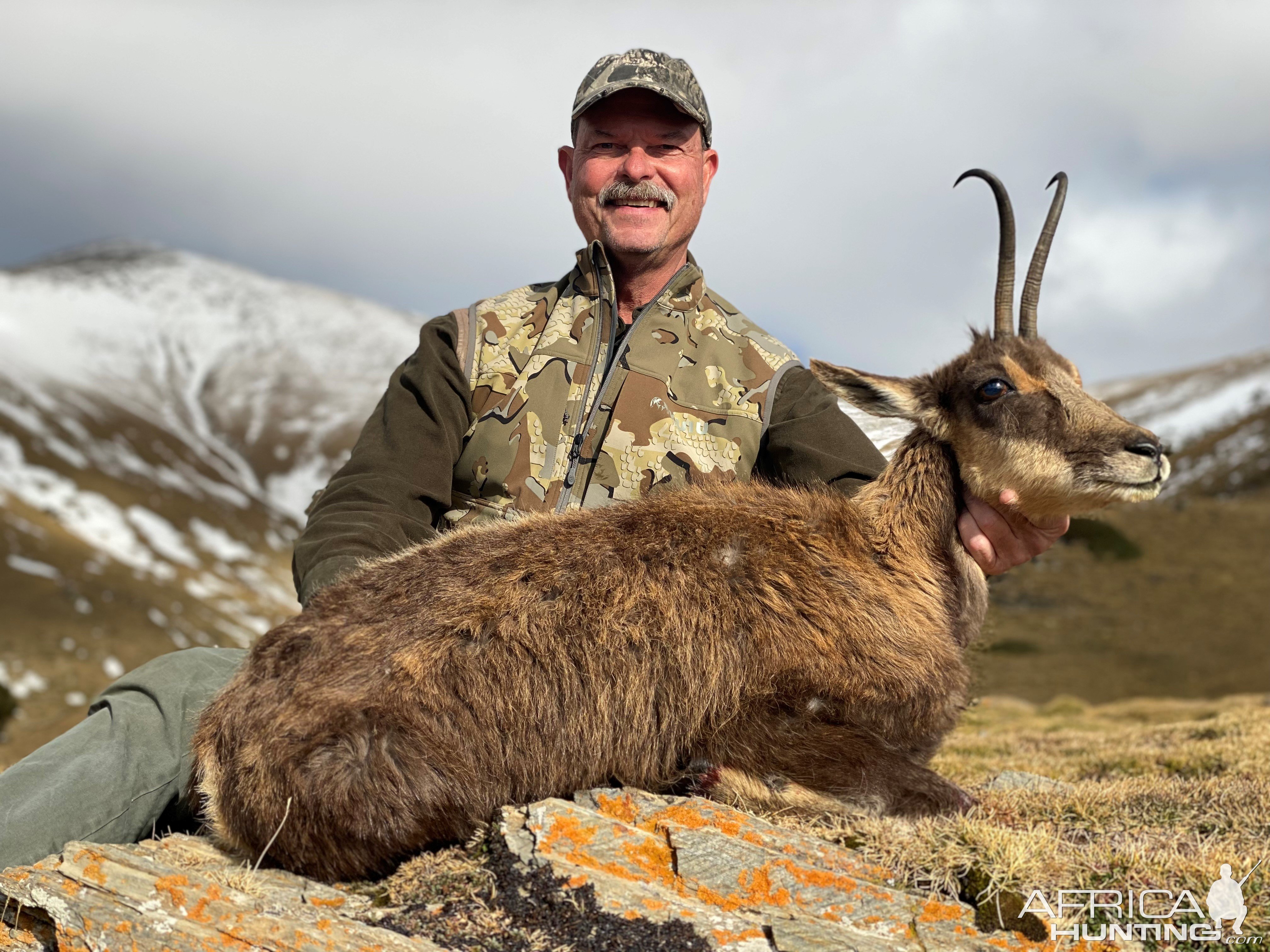 Chamois Hunting Pyrenees Mountains Spain