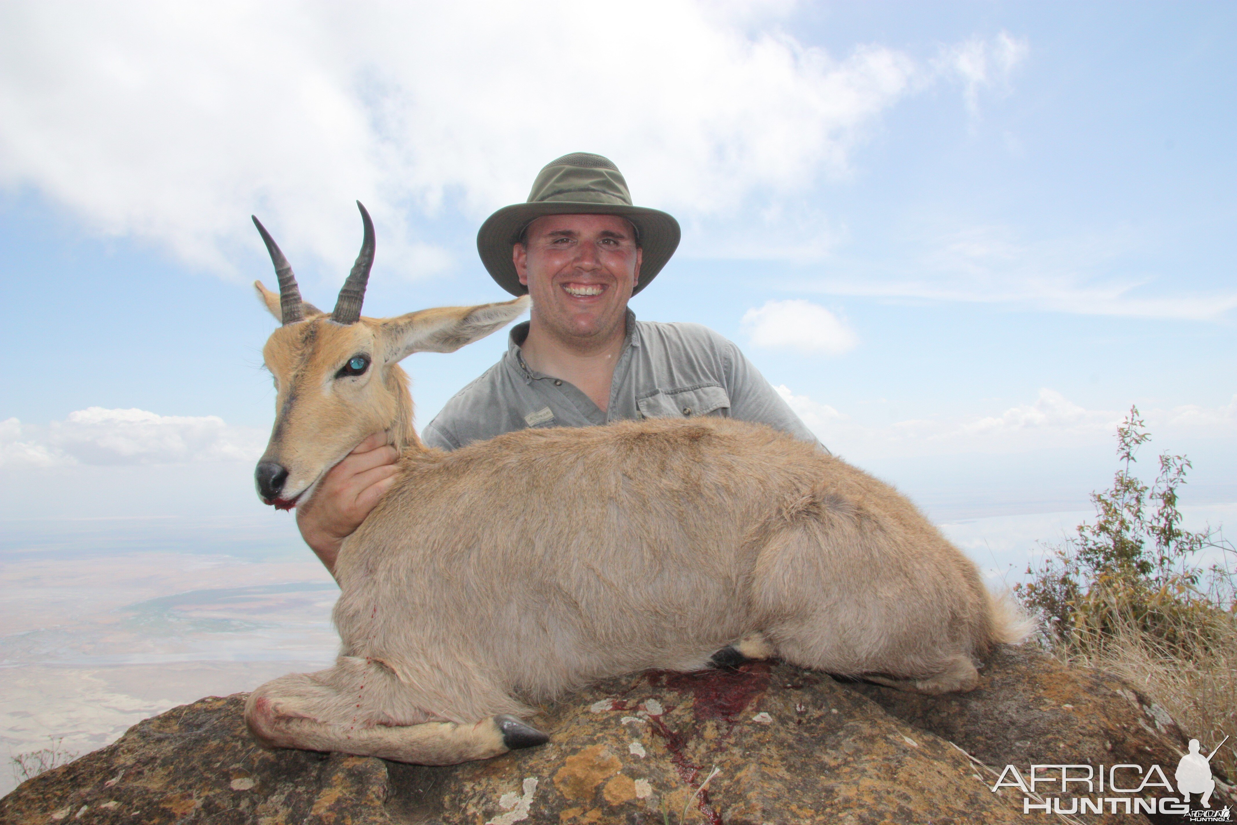 Chandlers Mountain Reedbuck