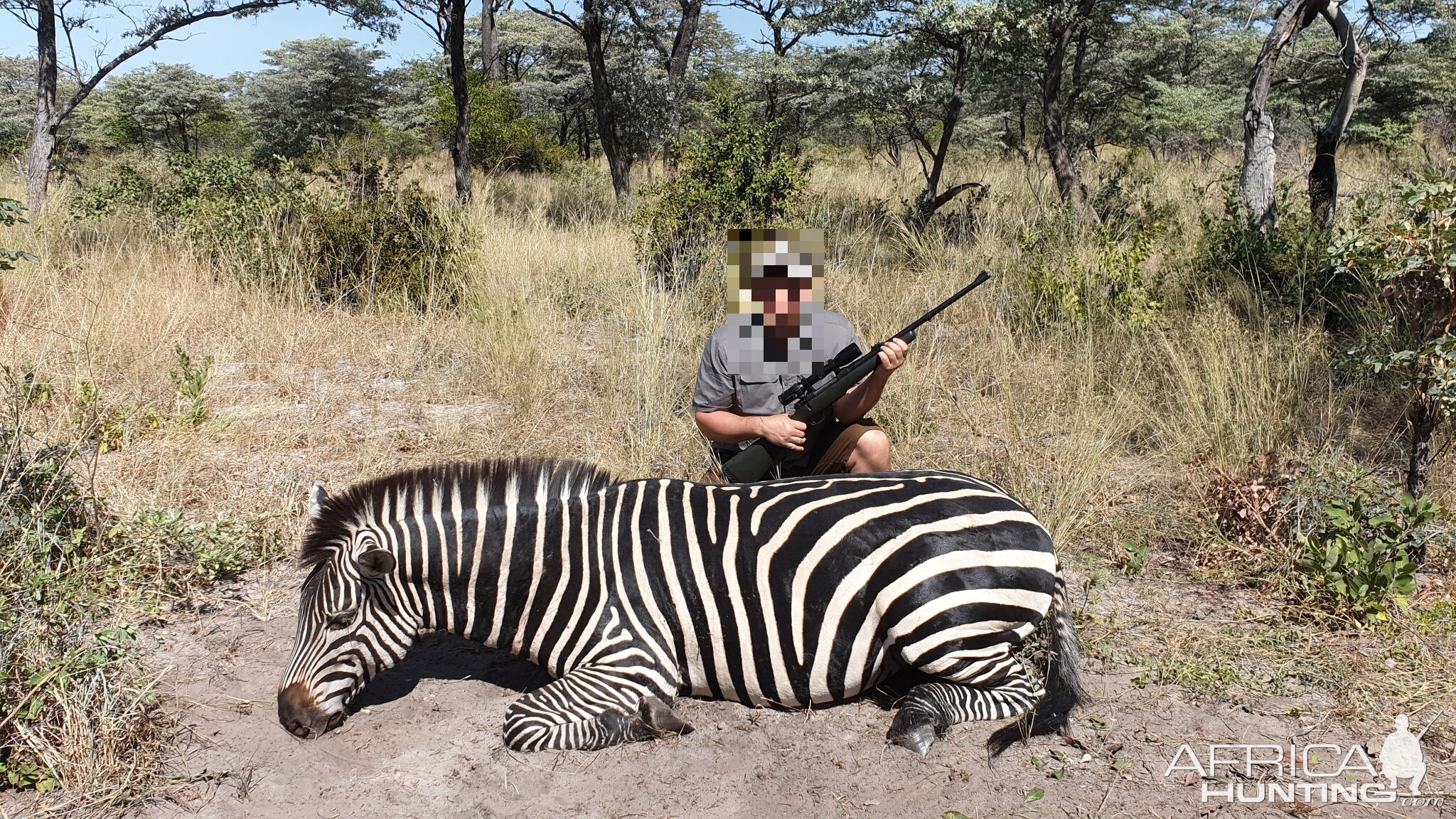 Chapman's Zebra Hunt Namibia