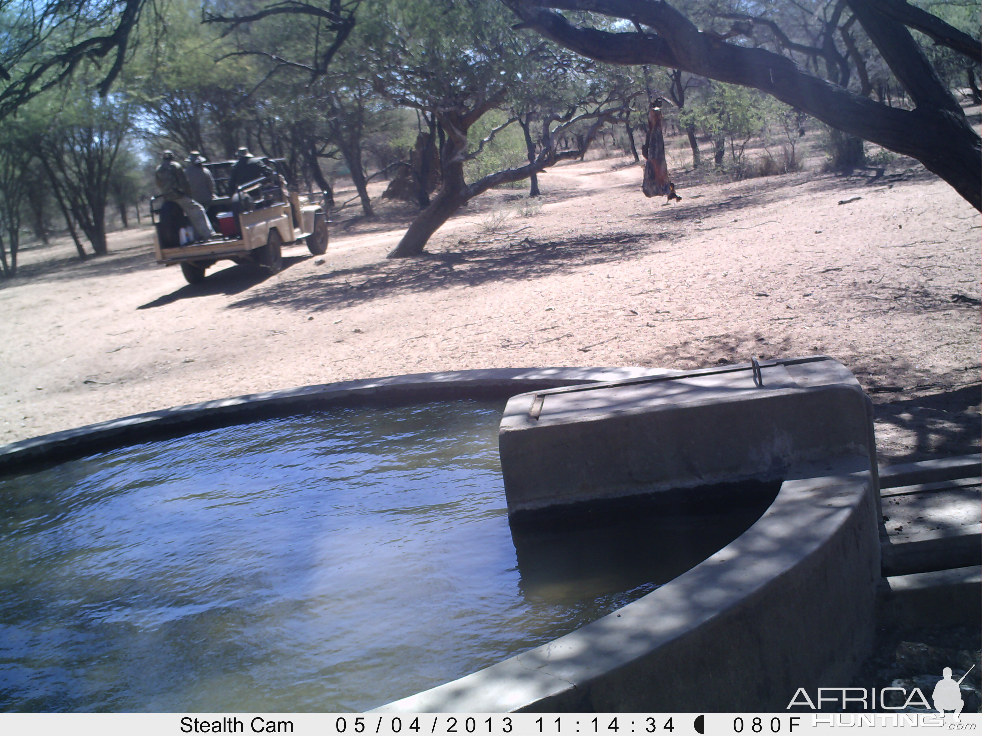 Checking Leopard Bait Trail Camera