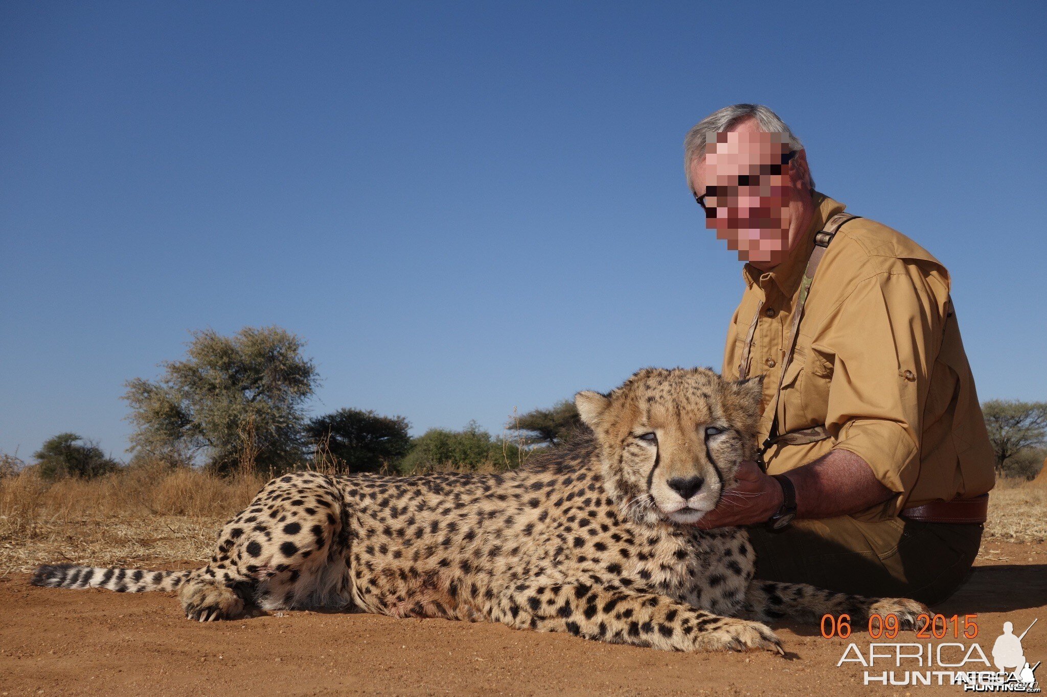 Cheetah hunted at Ozondjahe Hunting Safaris in Namibia