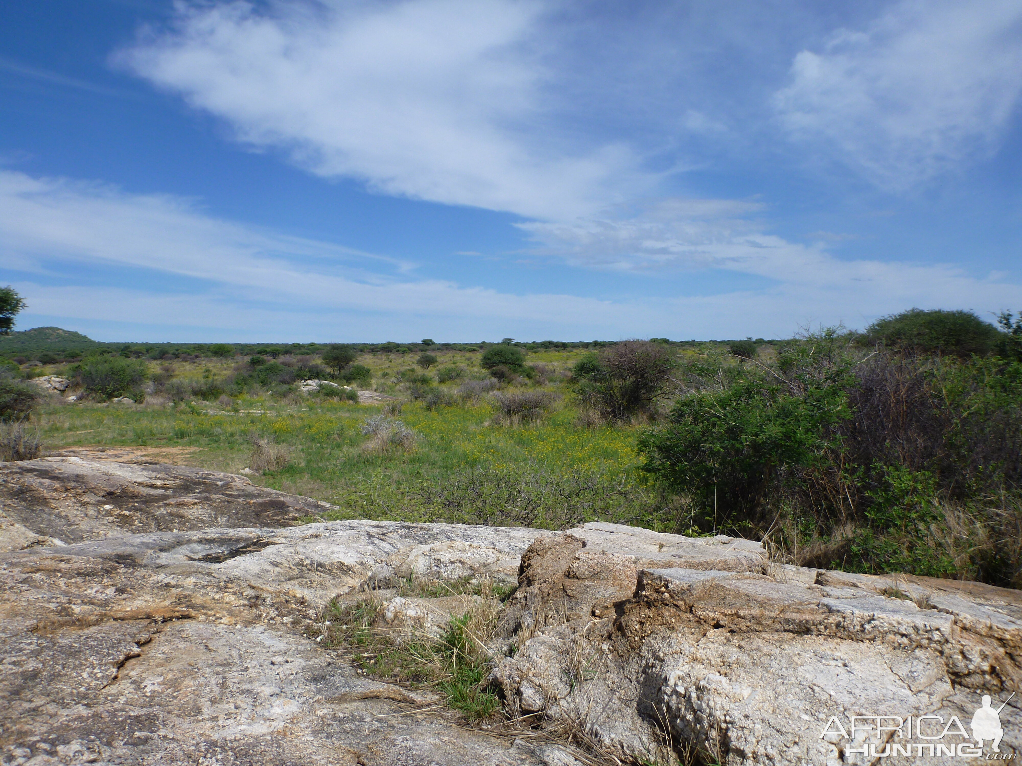 Cheetah scat rocks Namibia