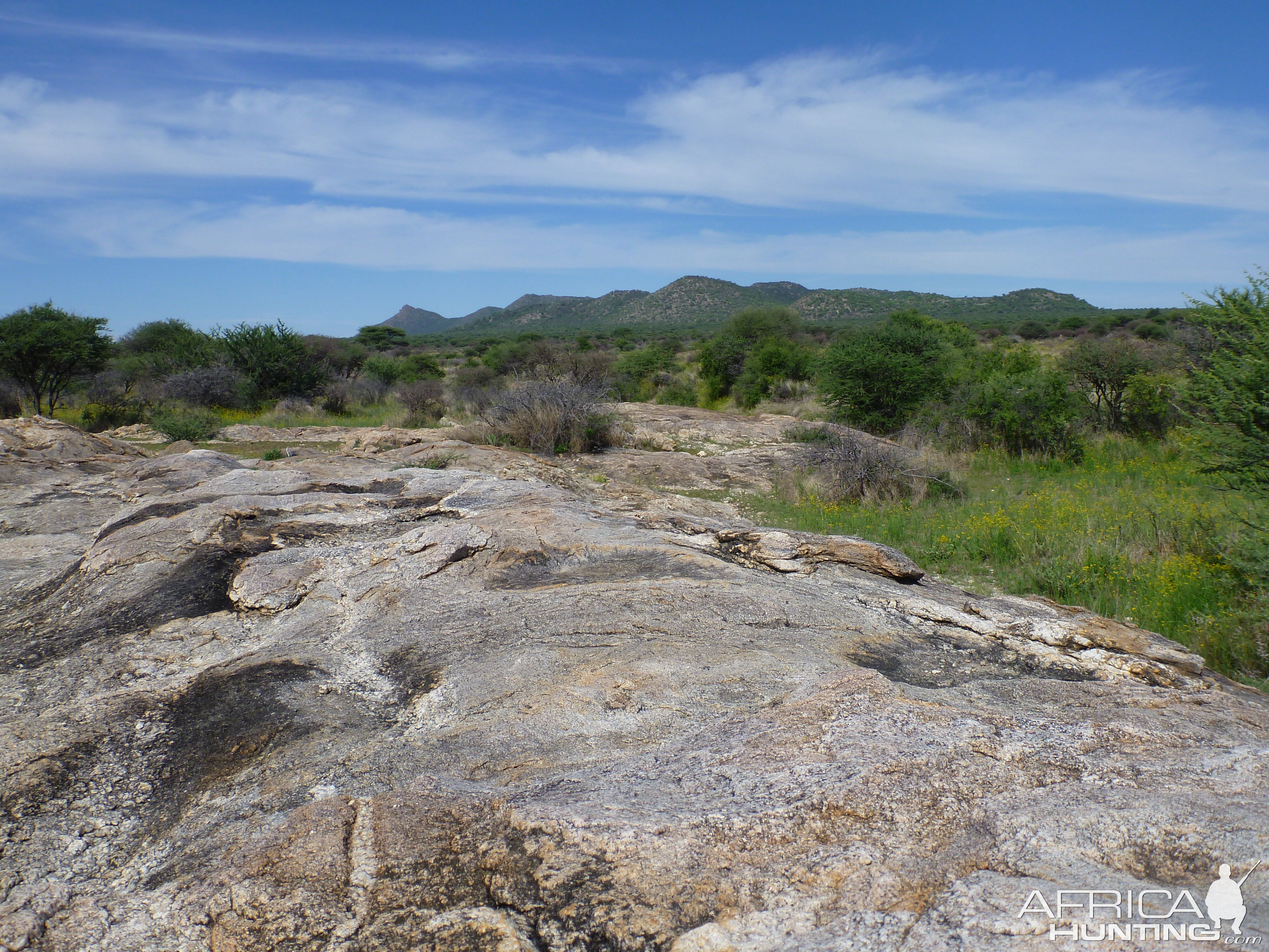 Cheetah scat rocks Namibia