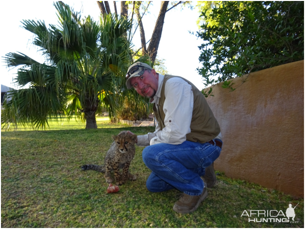 Cheetah Youngster