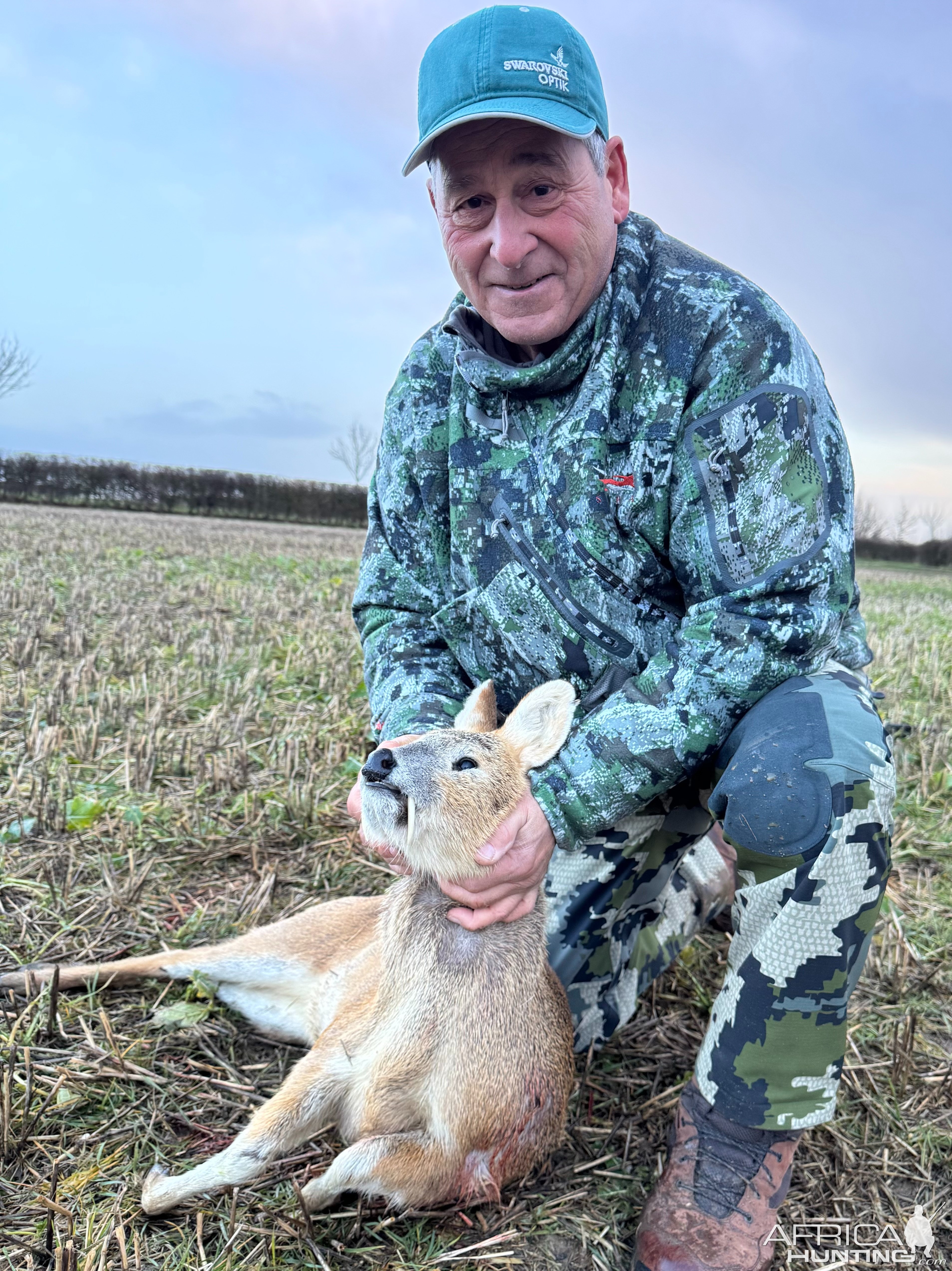 Chinese Water Deer Hunt United Kingdom