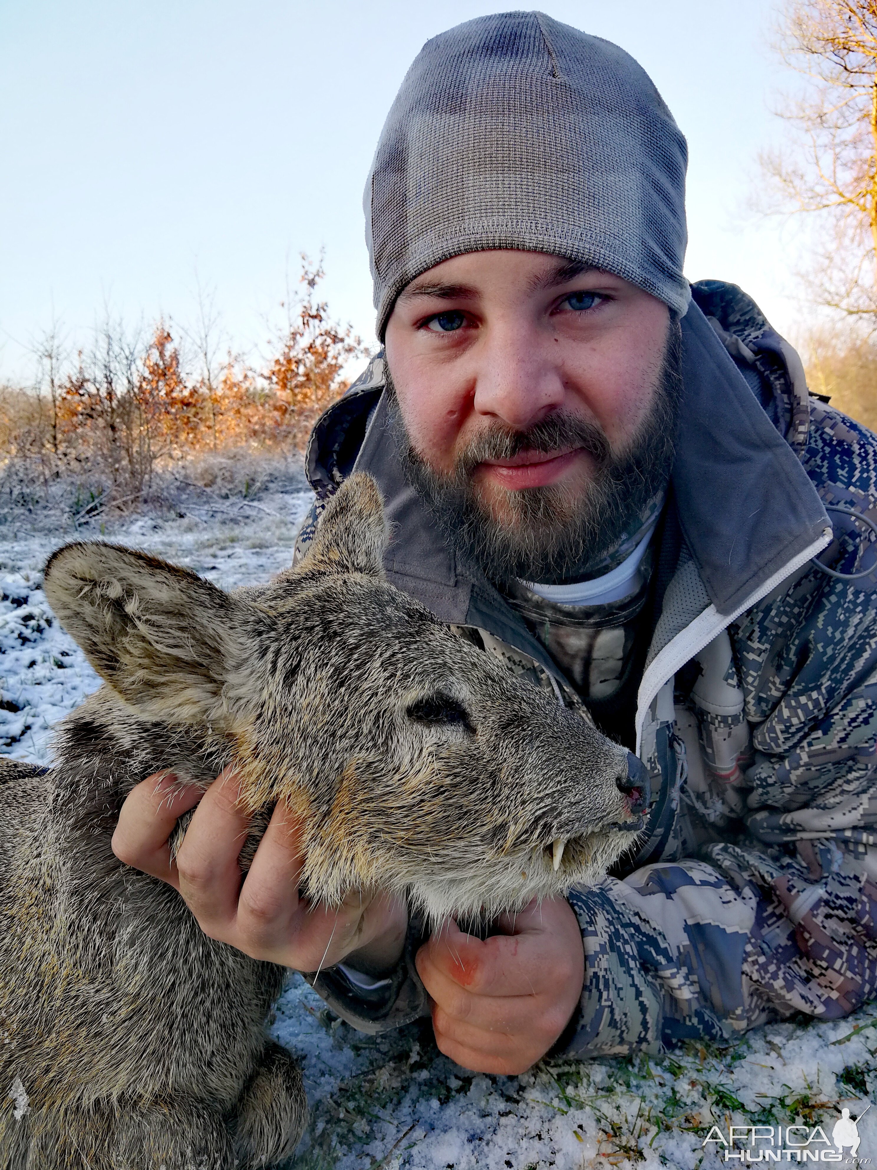 Chinese Water Deer Hunting Europe