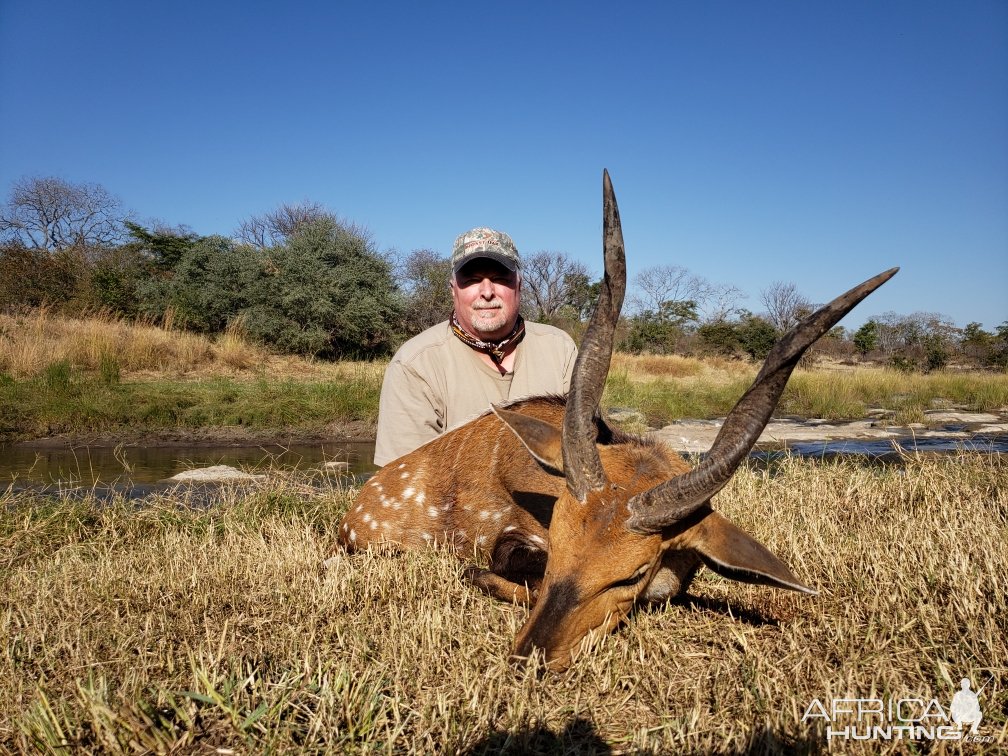 Chobe Bushbuck Hunt Matetsi Zimbabwe