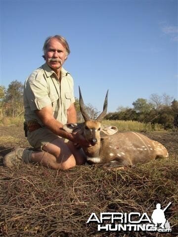 Chobe Bushbuck