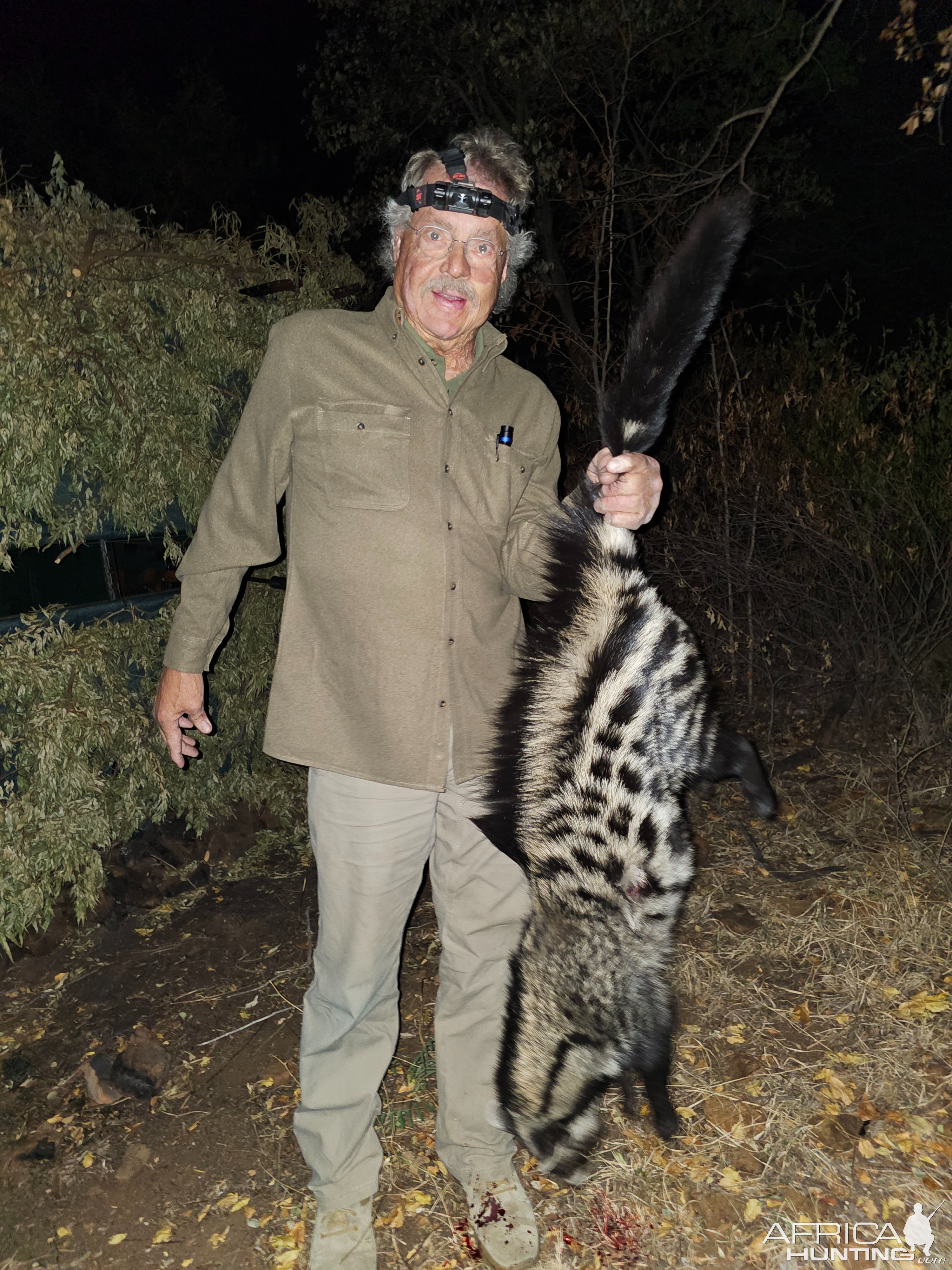 Civet Cat Hunt South Africa