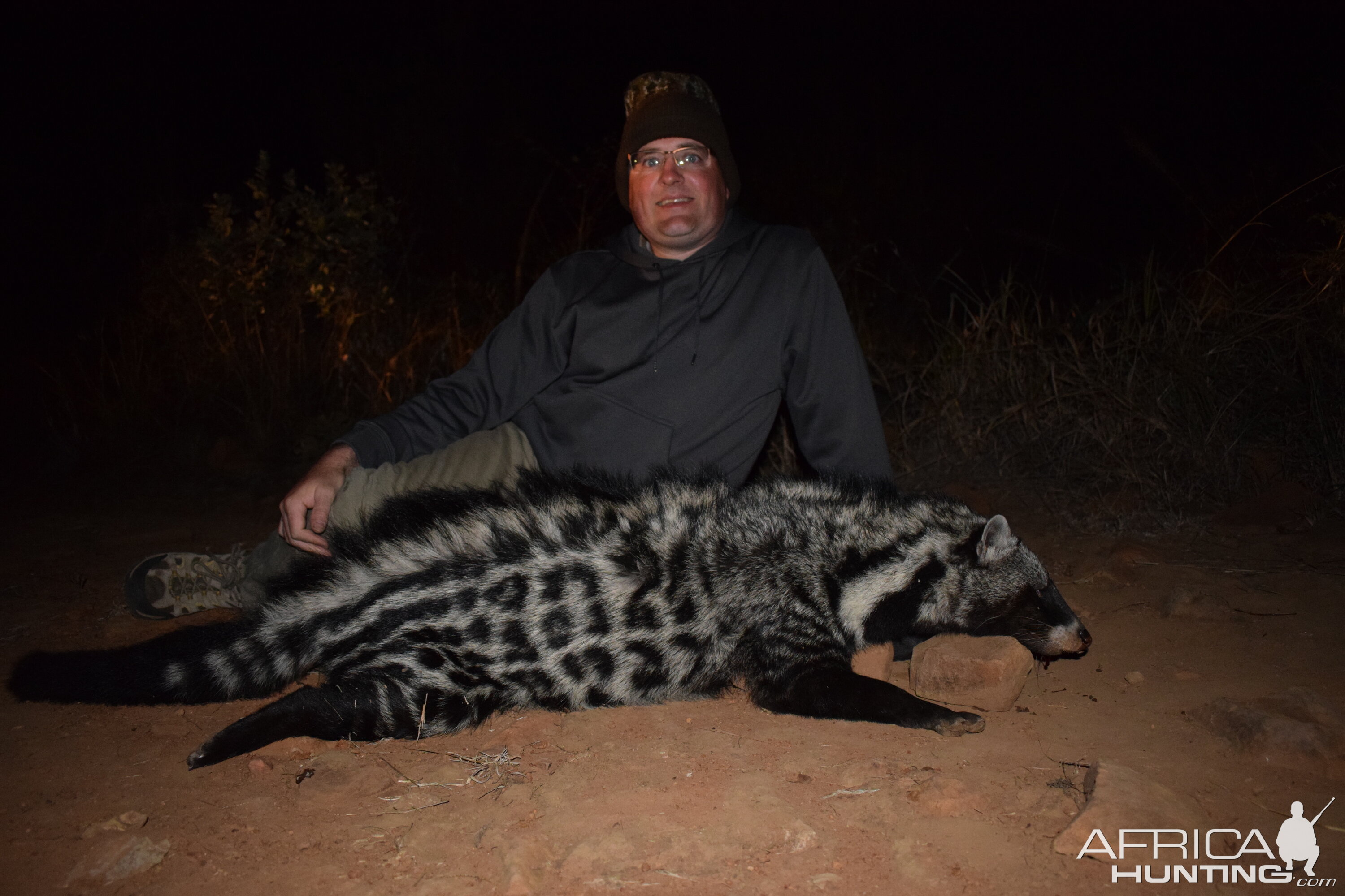 Civet Cat Hunt South Africa