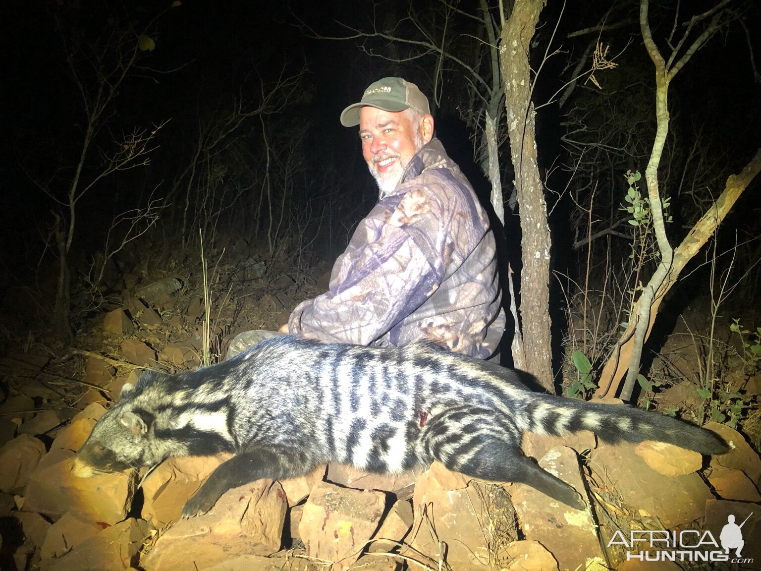 Civet Cat Hunt South Africa