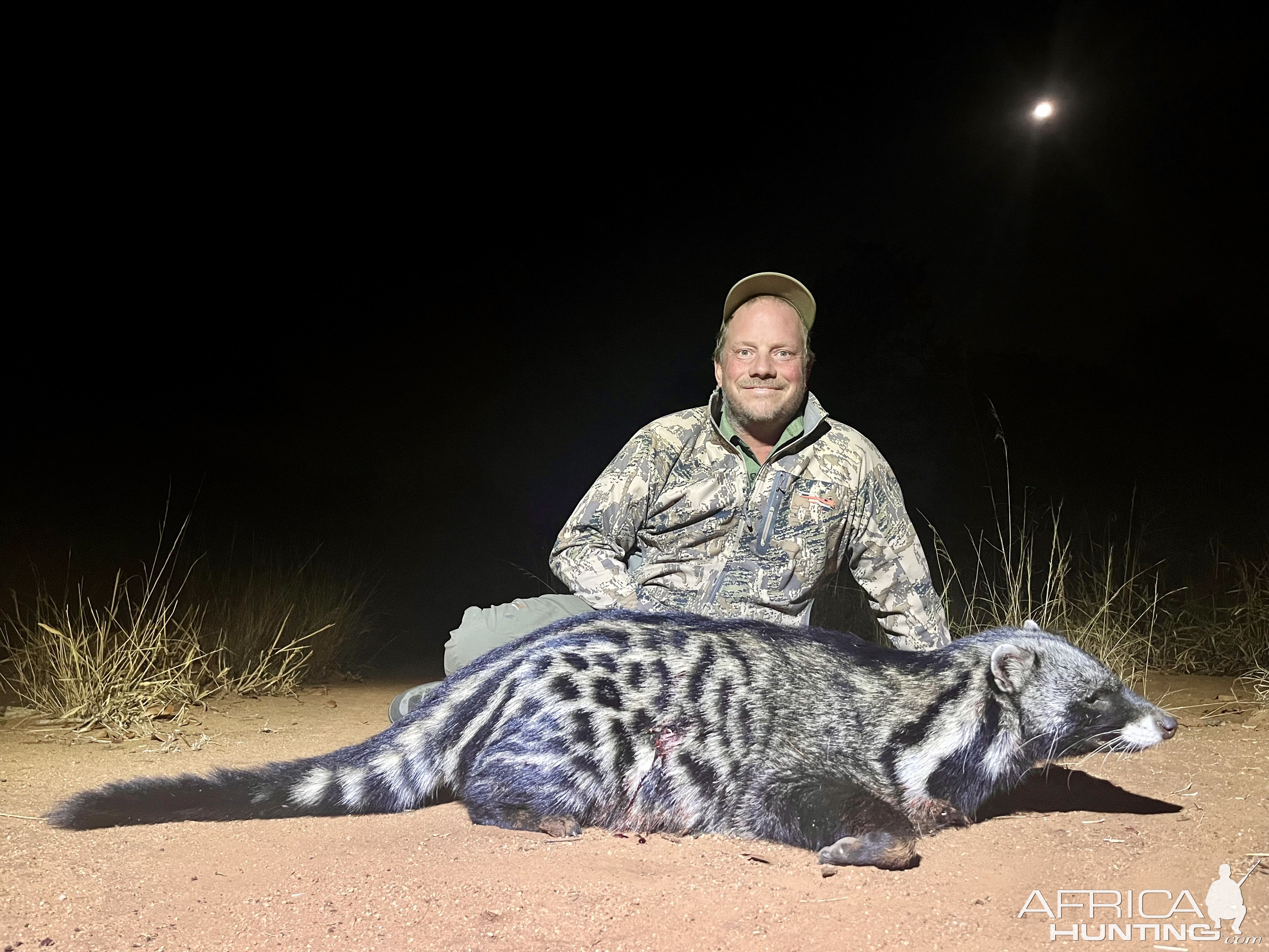 Civet Hunt Limpopo South Africa