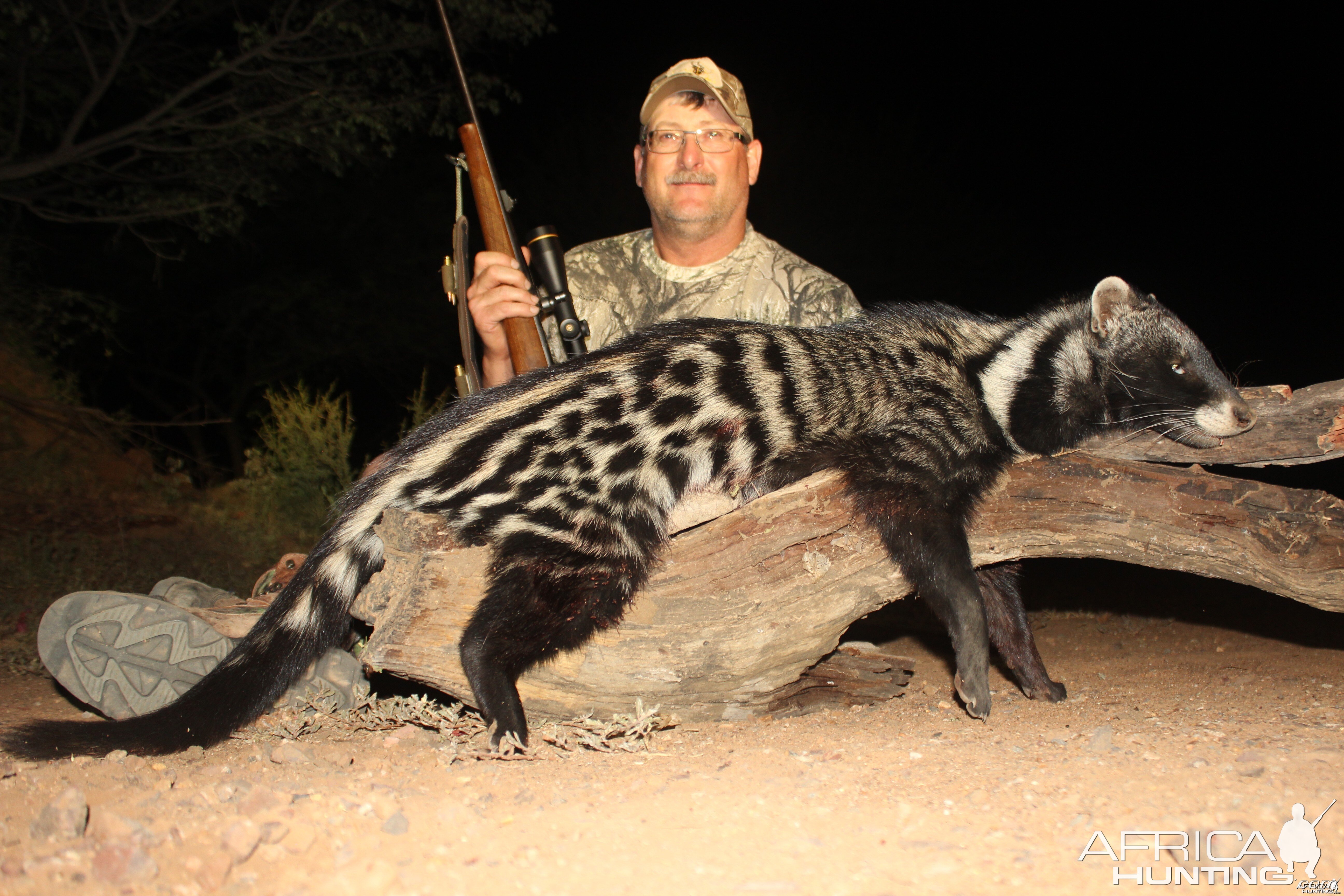 Civet