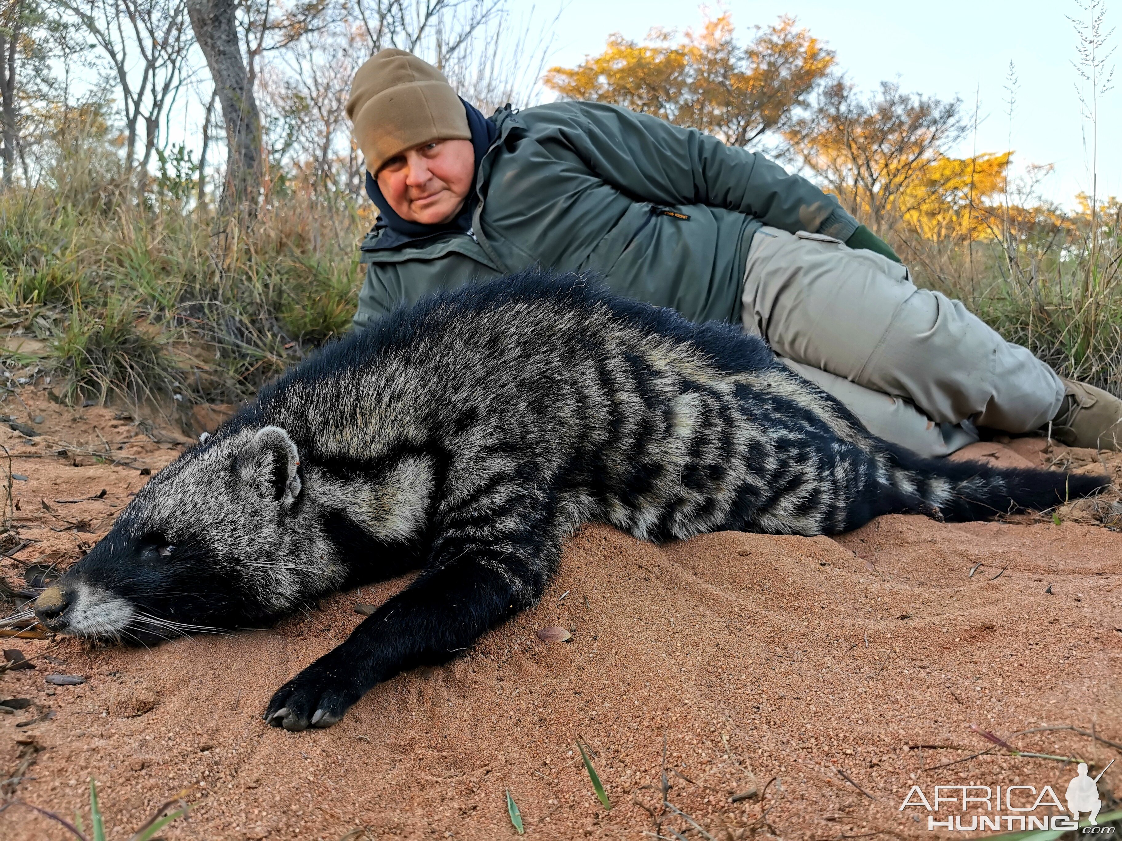 Civit Cat Hunt South Africa