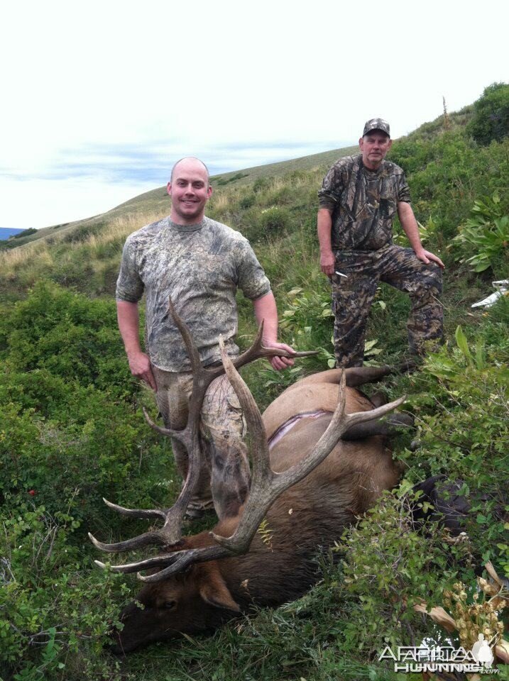 Colorado Elk 2011