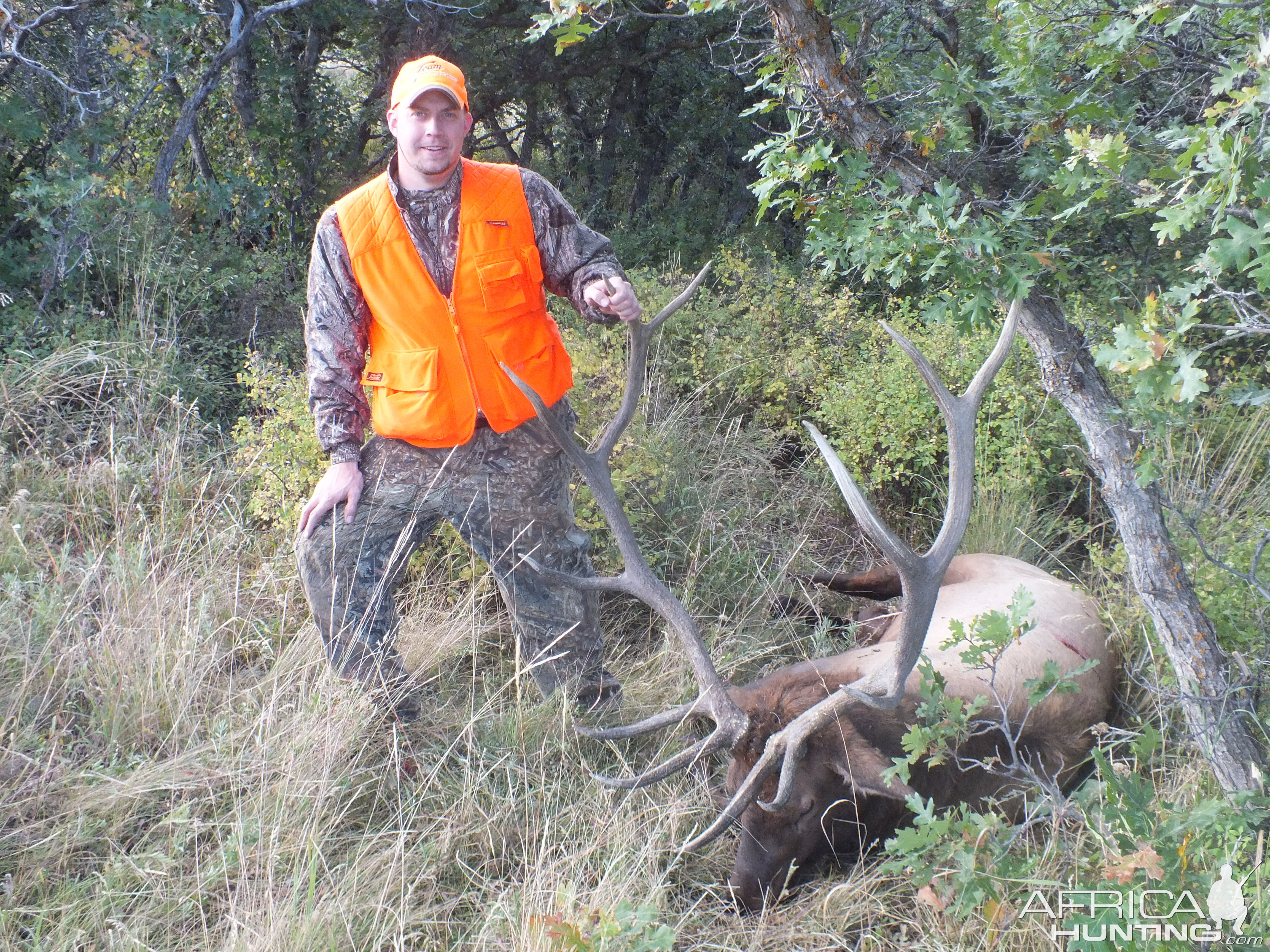 Colorado Elk 2014