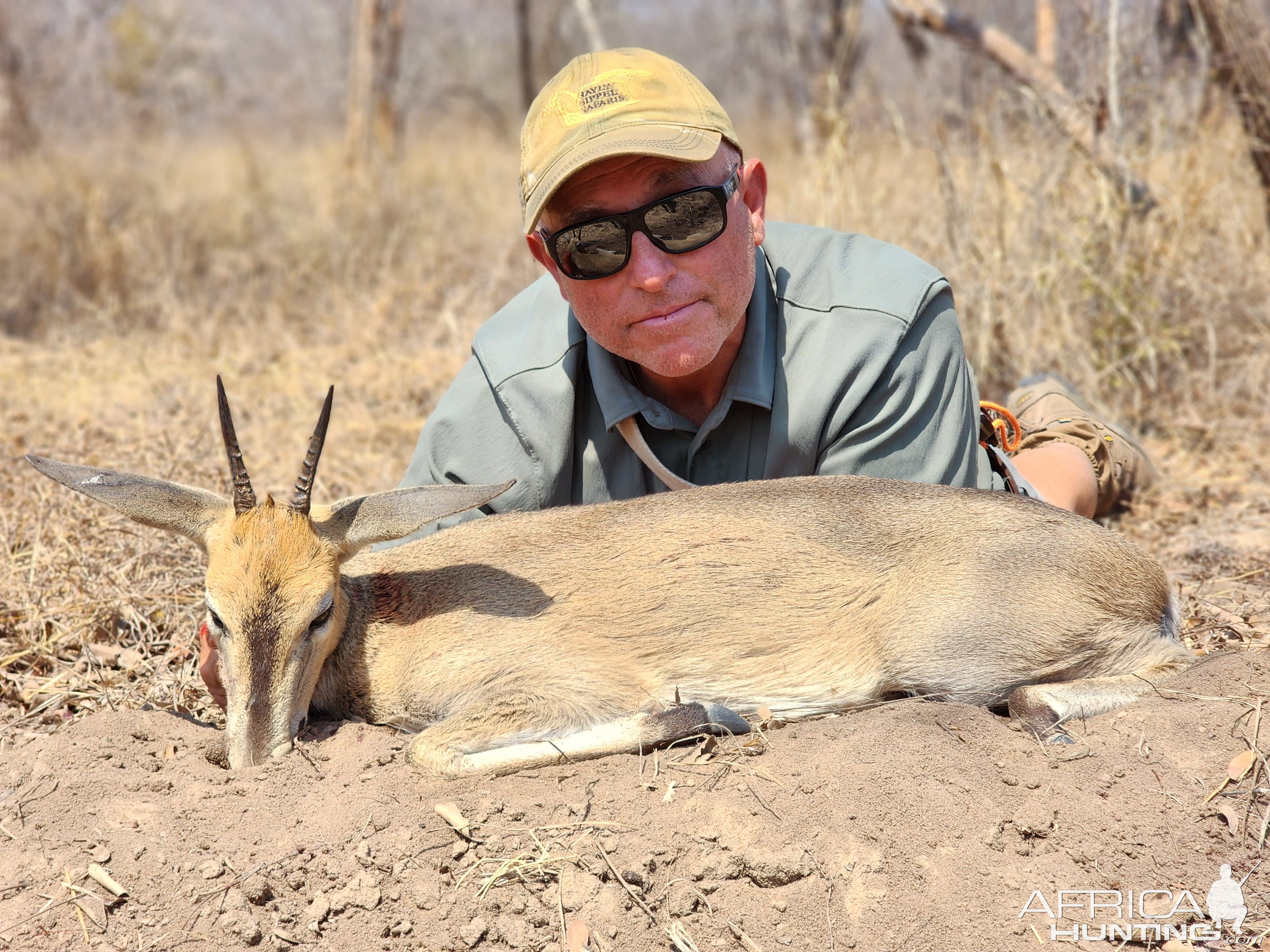 Common Duiker Hunt Mozambique