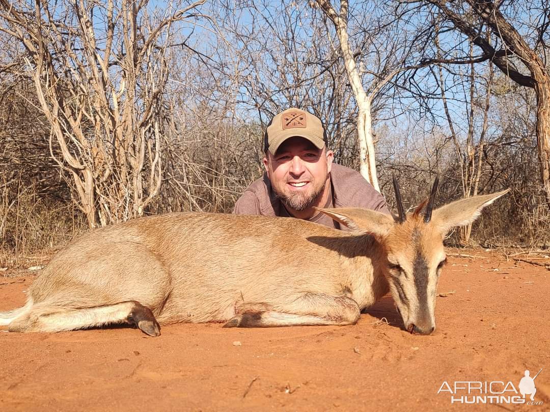 Common Duiker Hunt South Africa