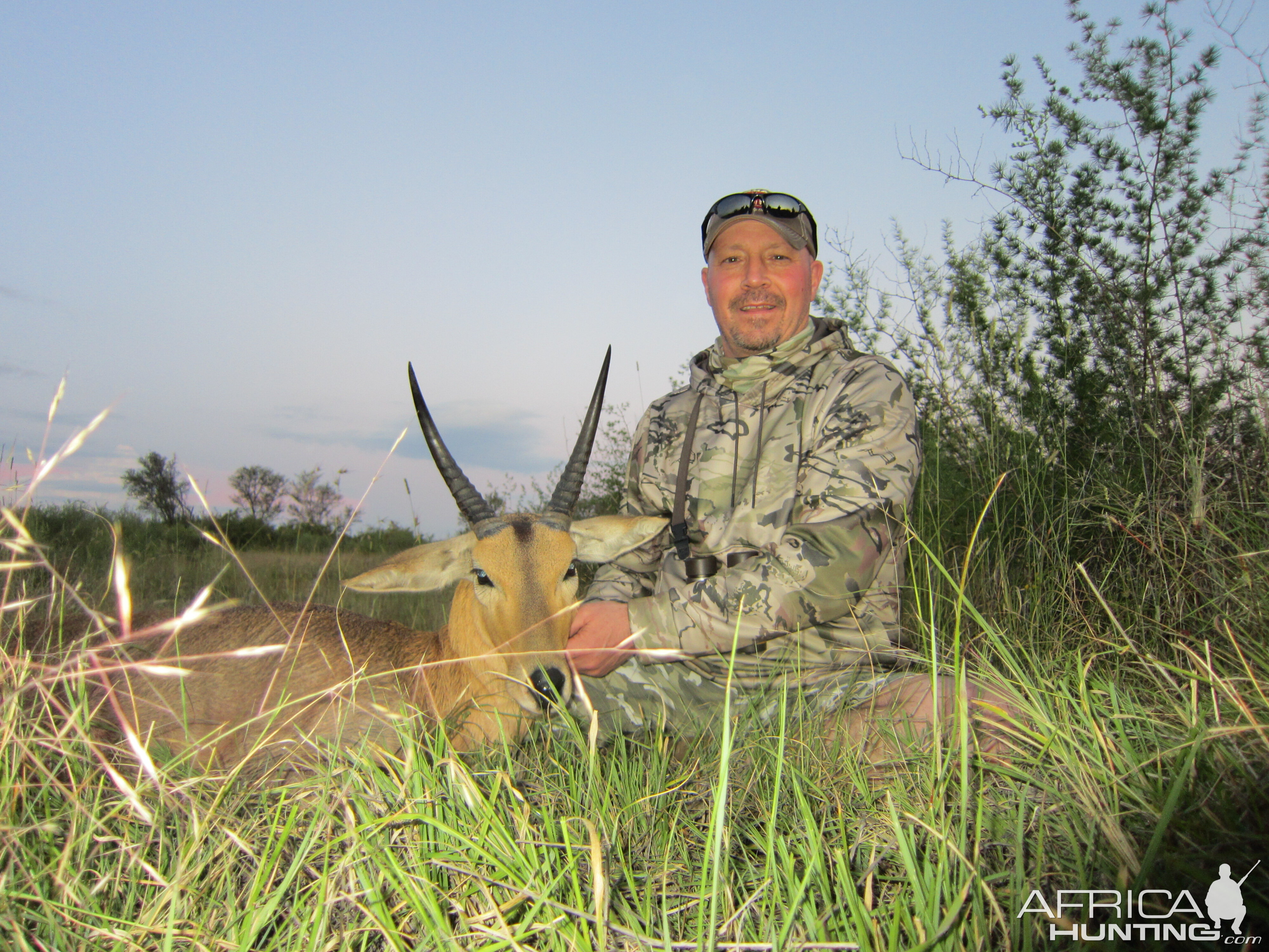 Common Reedbuck Free State