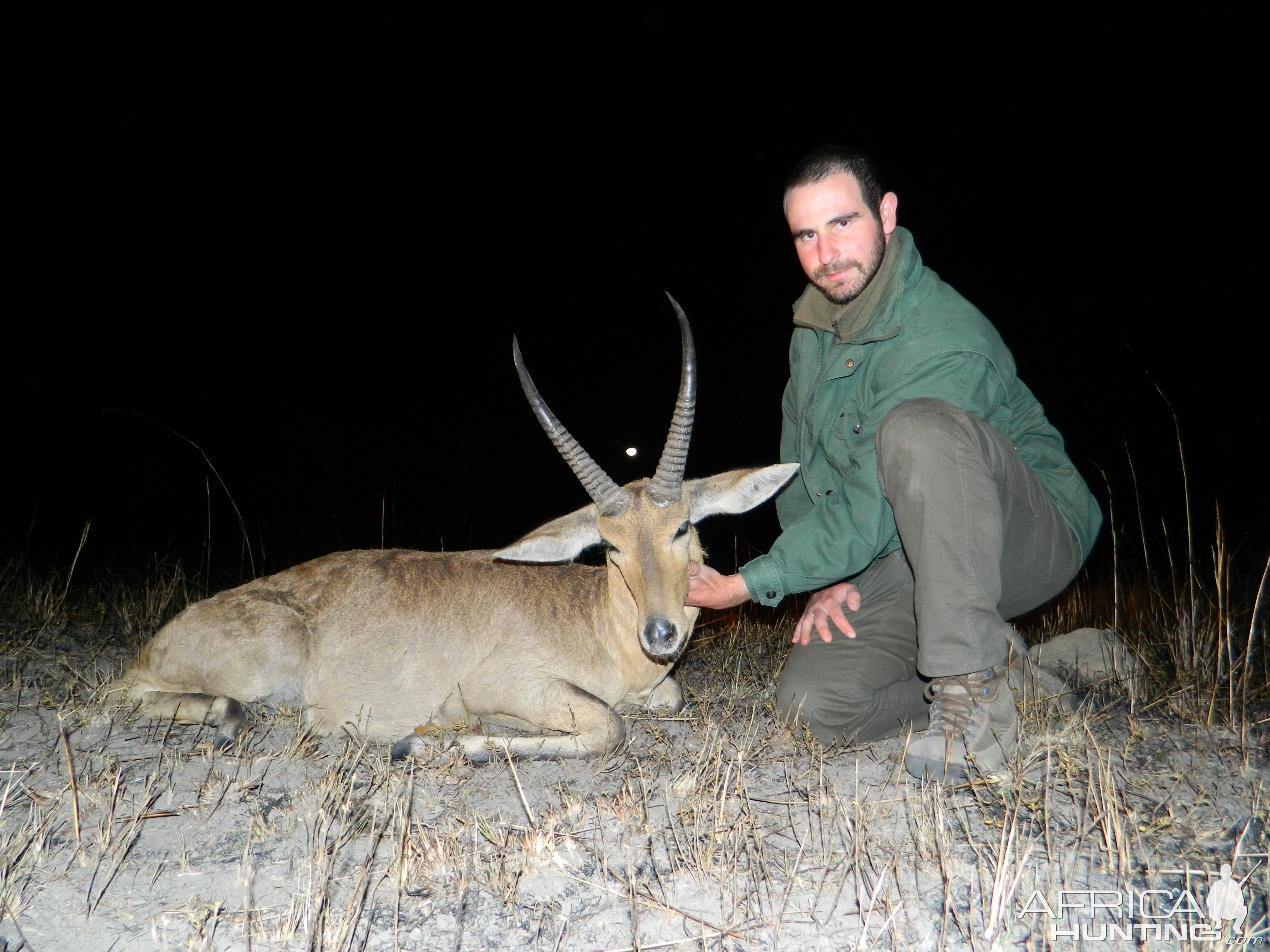 Common Reedbuck from Limpopo