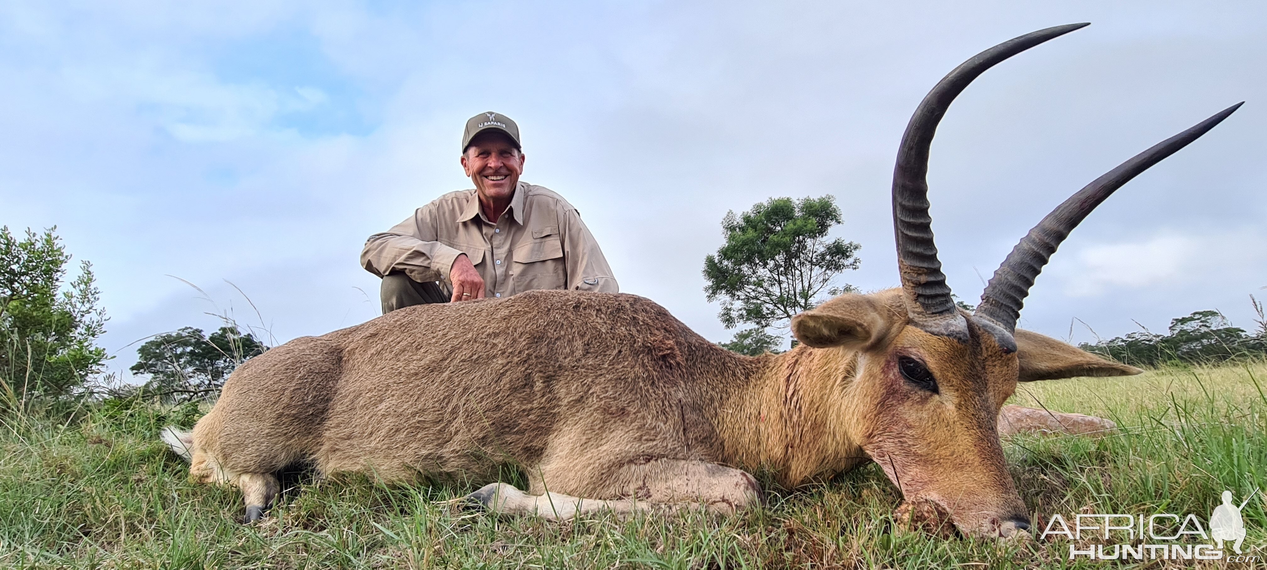 Common Reedbuck Hunt Eastern Cape South Africa