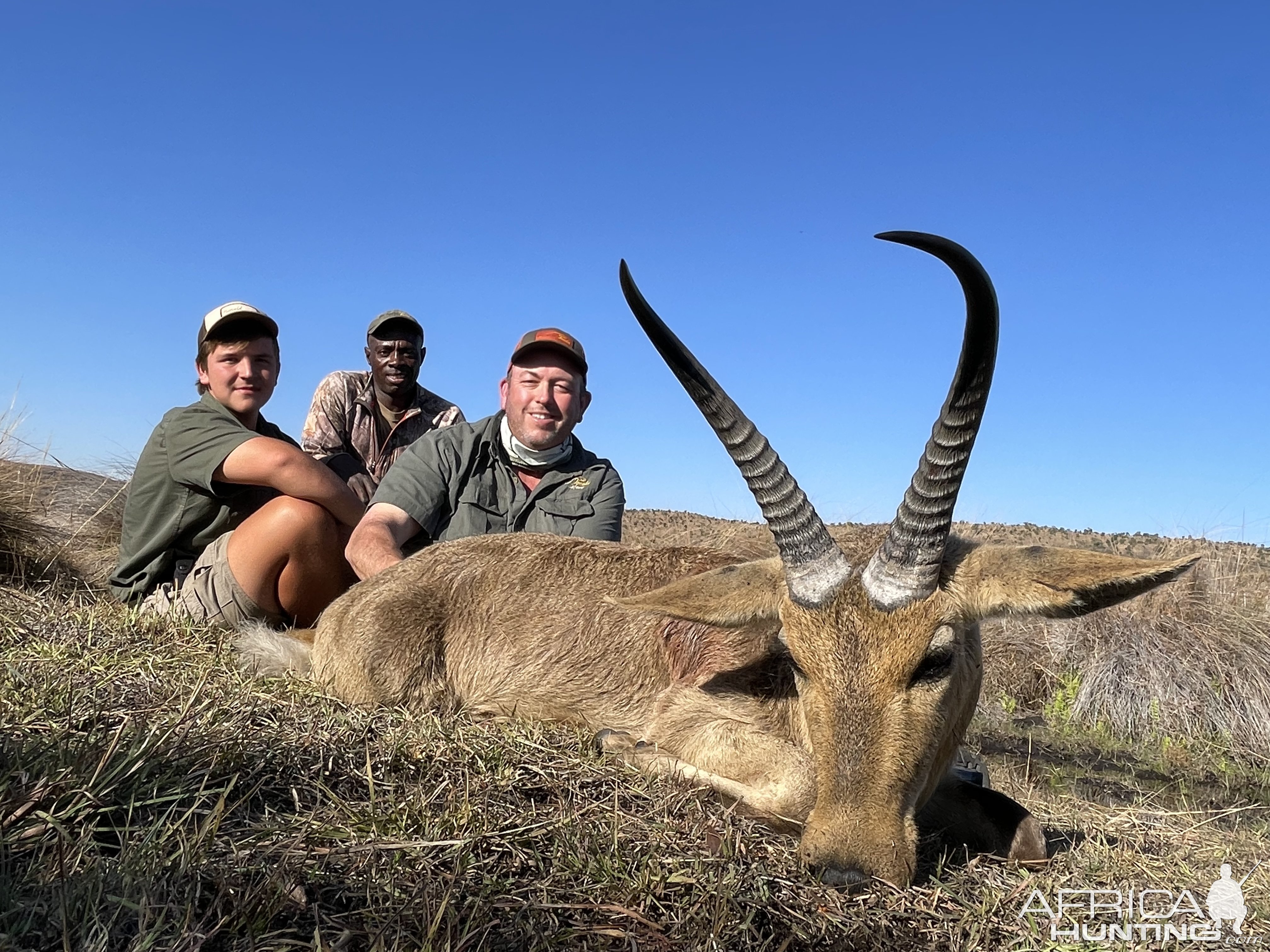 Common Reedbuck Hunt South Africa