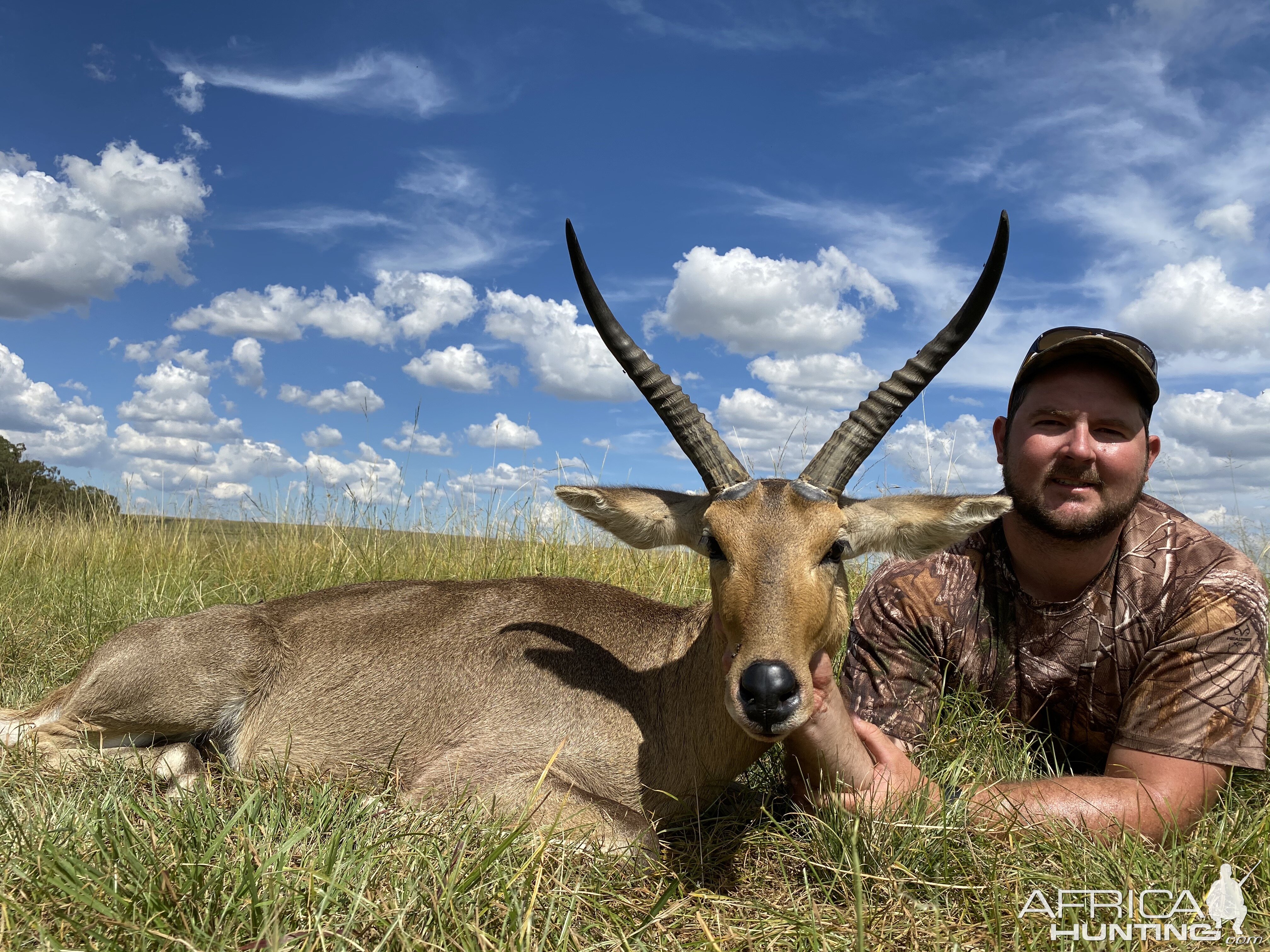 Common Reedbuck Hunting South Africa