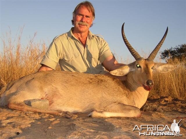 Common Reedbuck