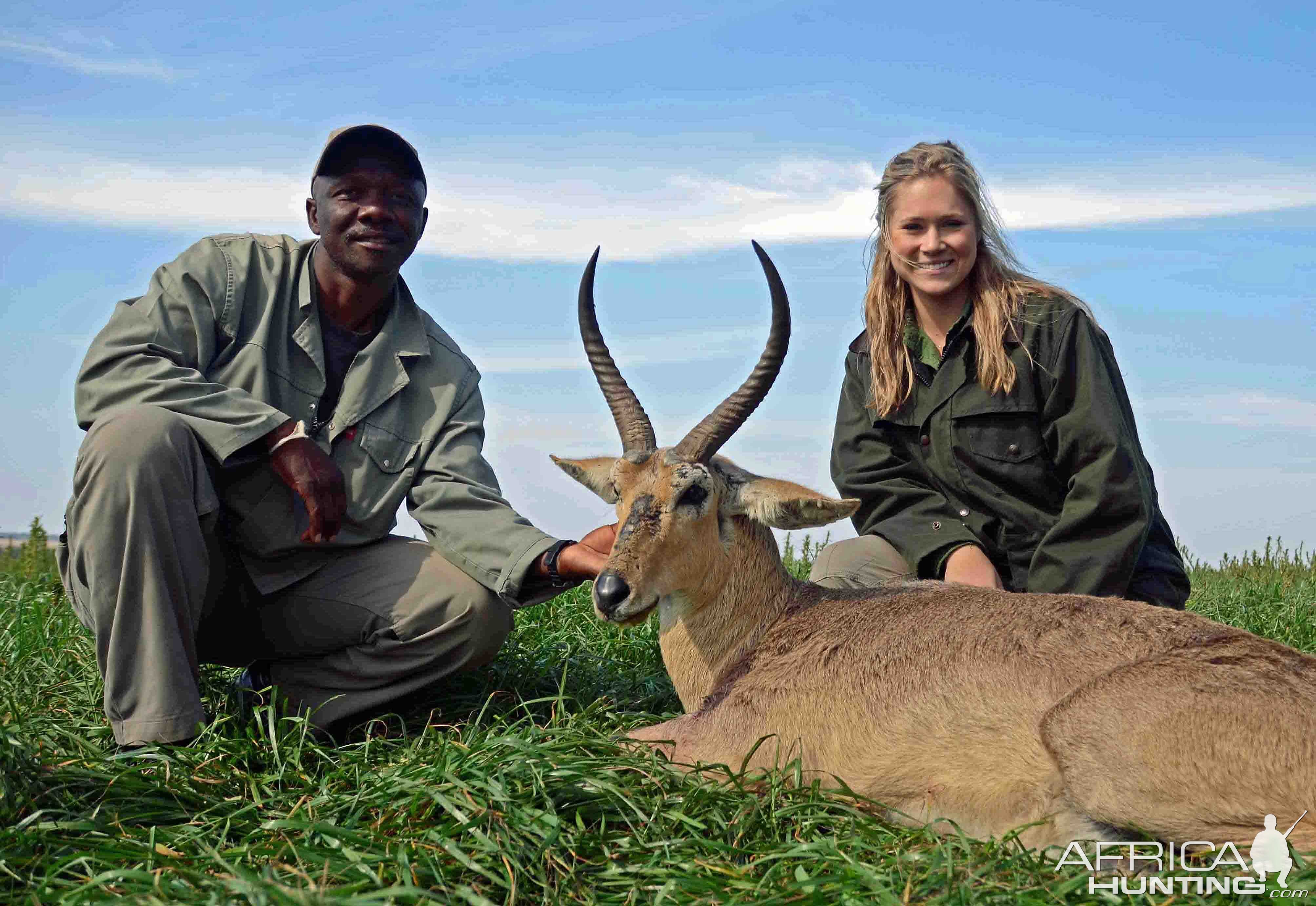 Common Reedbuck