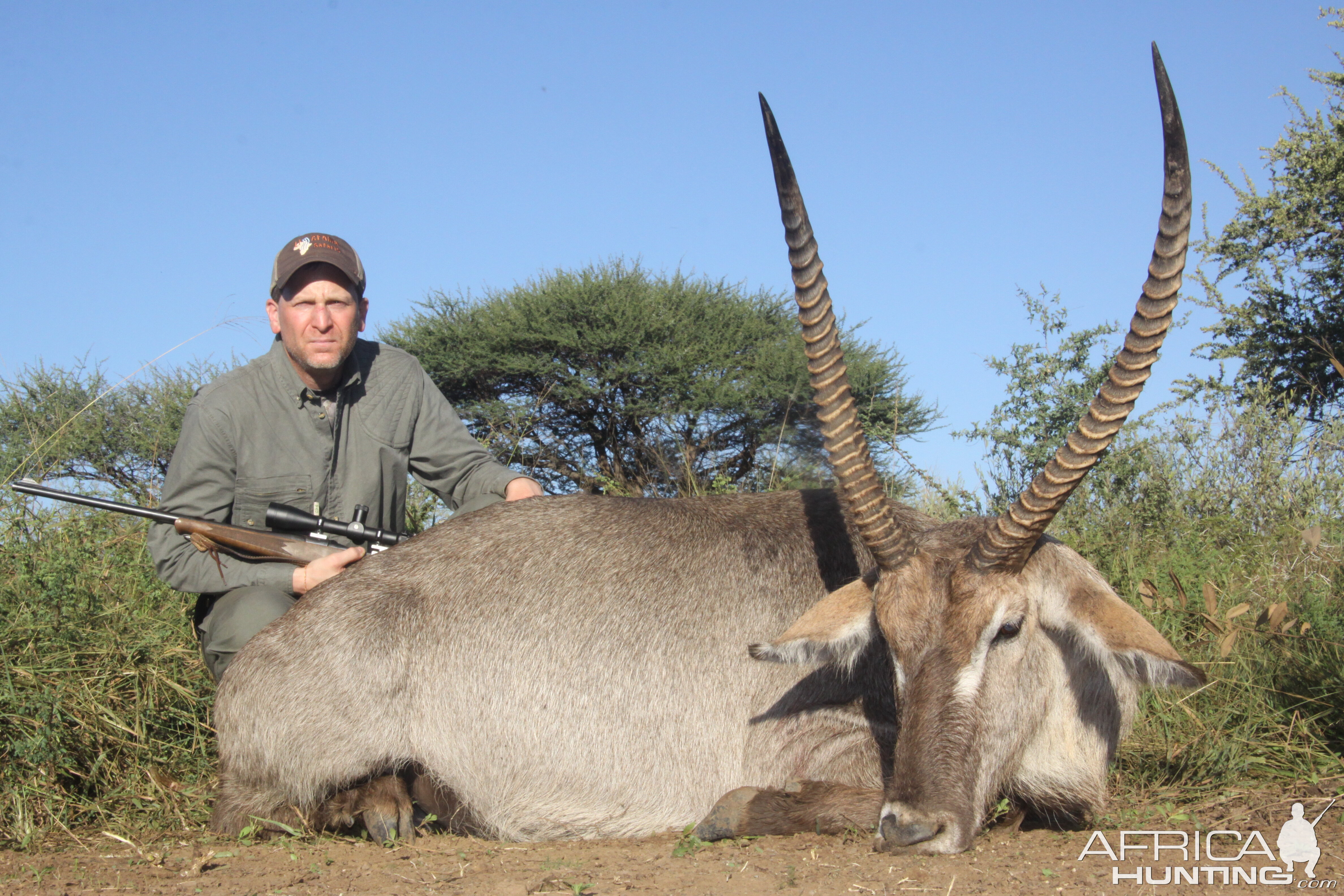 Common Waterbuck