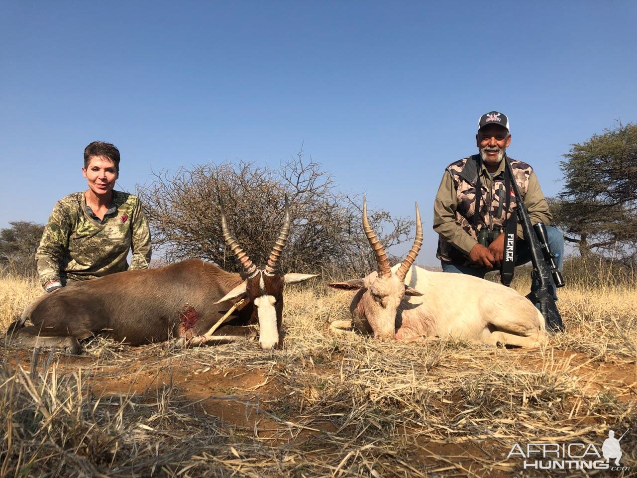 Common & White Blesbok Hunting South Africa