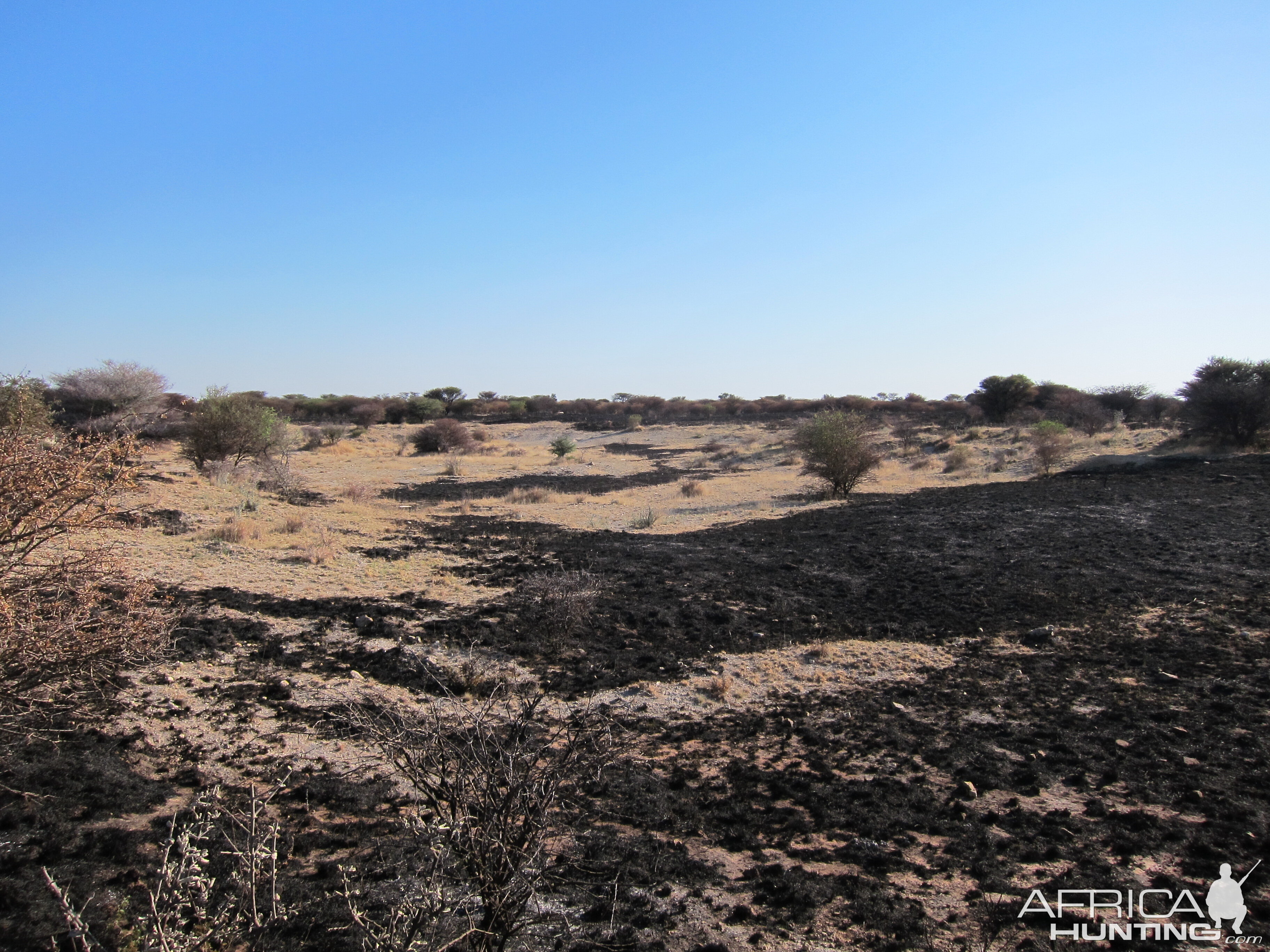 Controlled Bush Fire Namibia