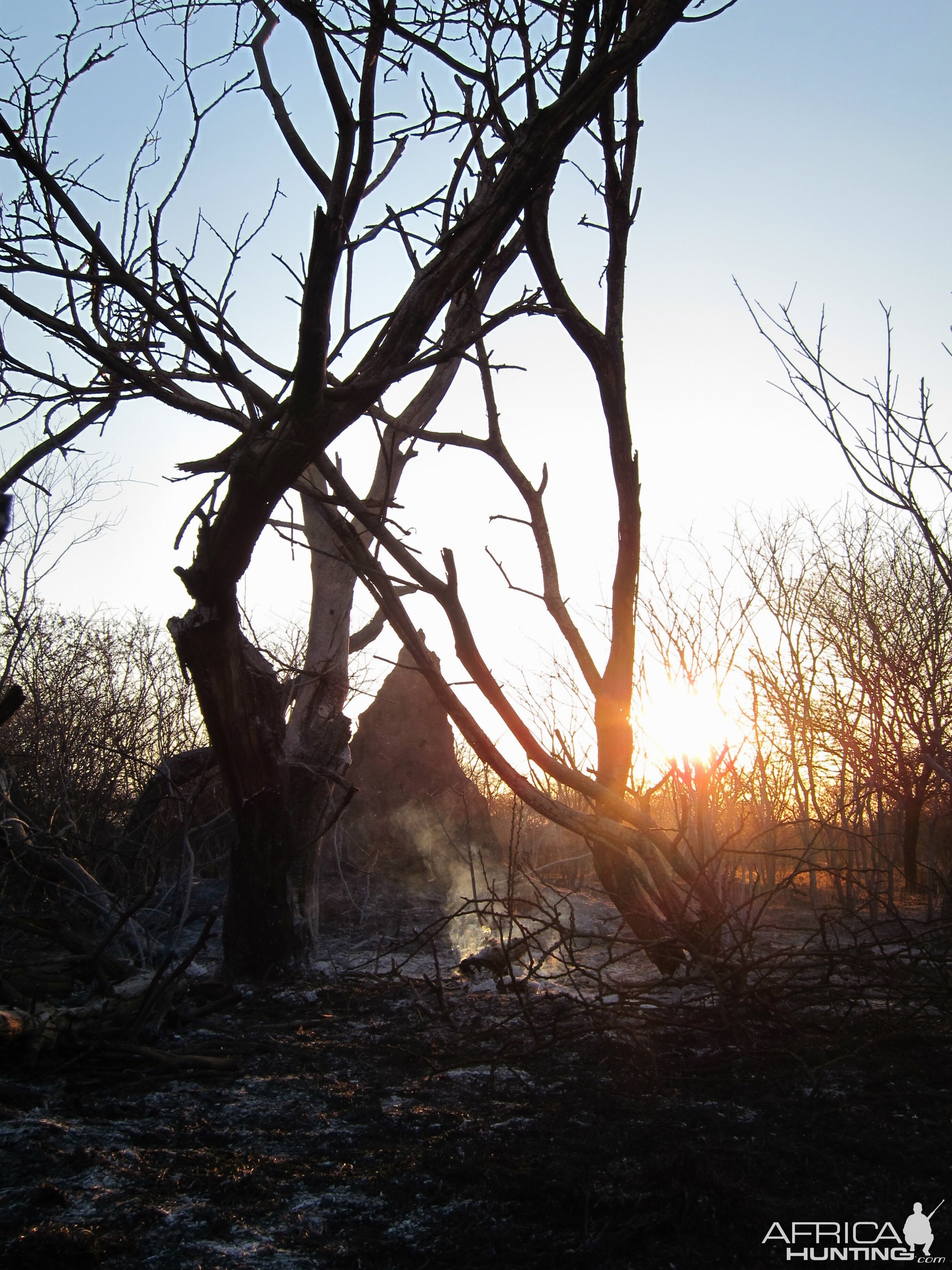 Controlled Bush Fire Namibia