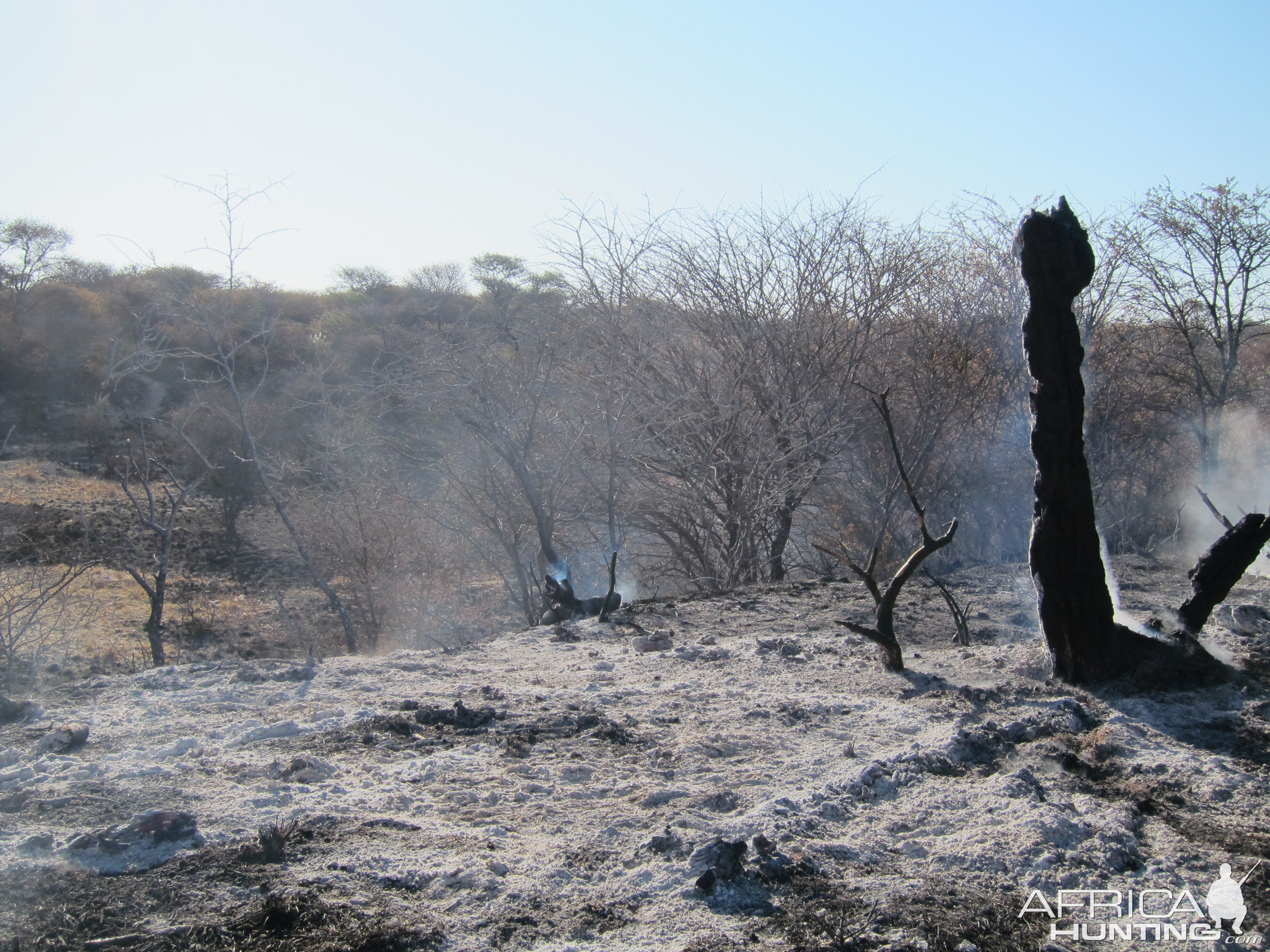 Controlled Bush Fire Namibia