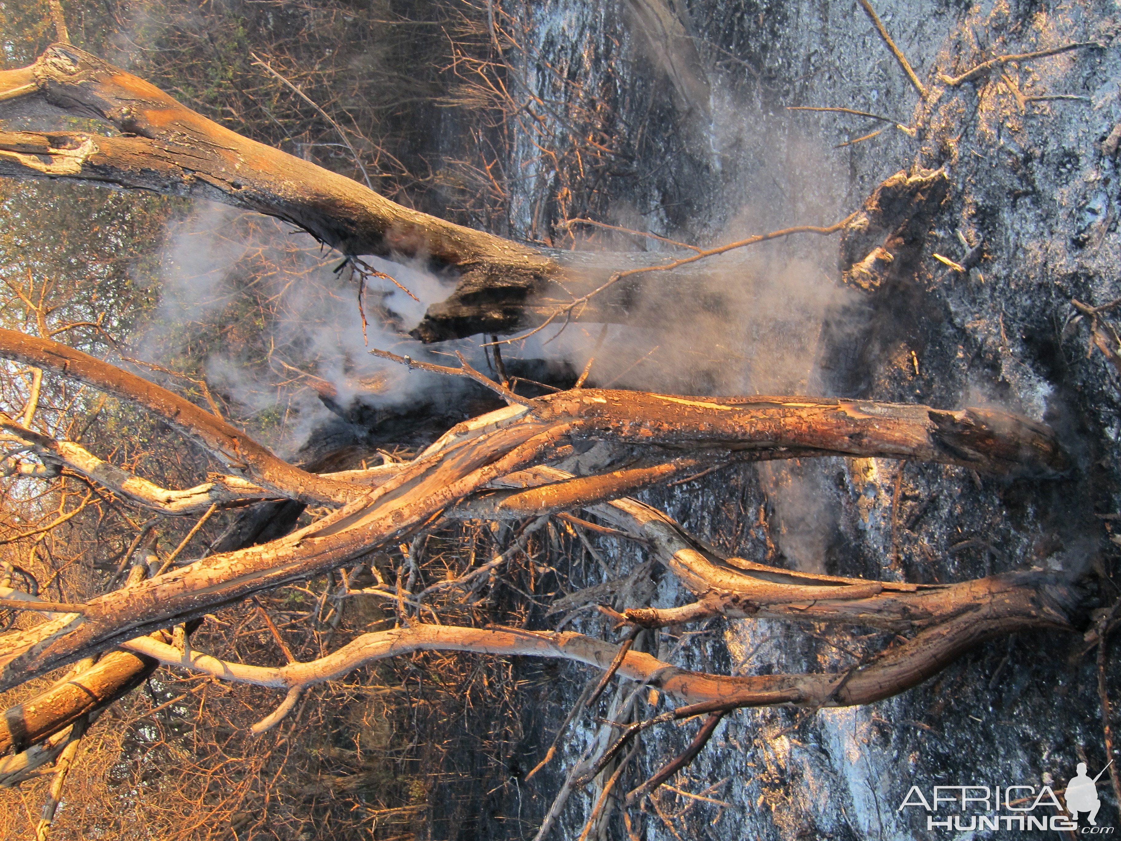 Controlled Bush Fire Namibia