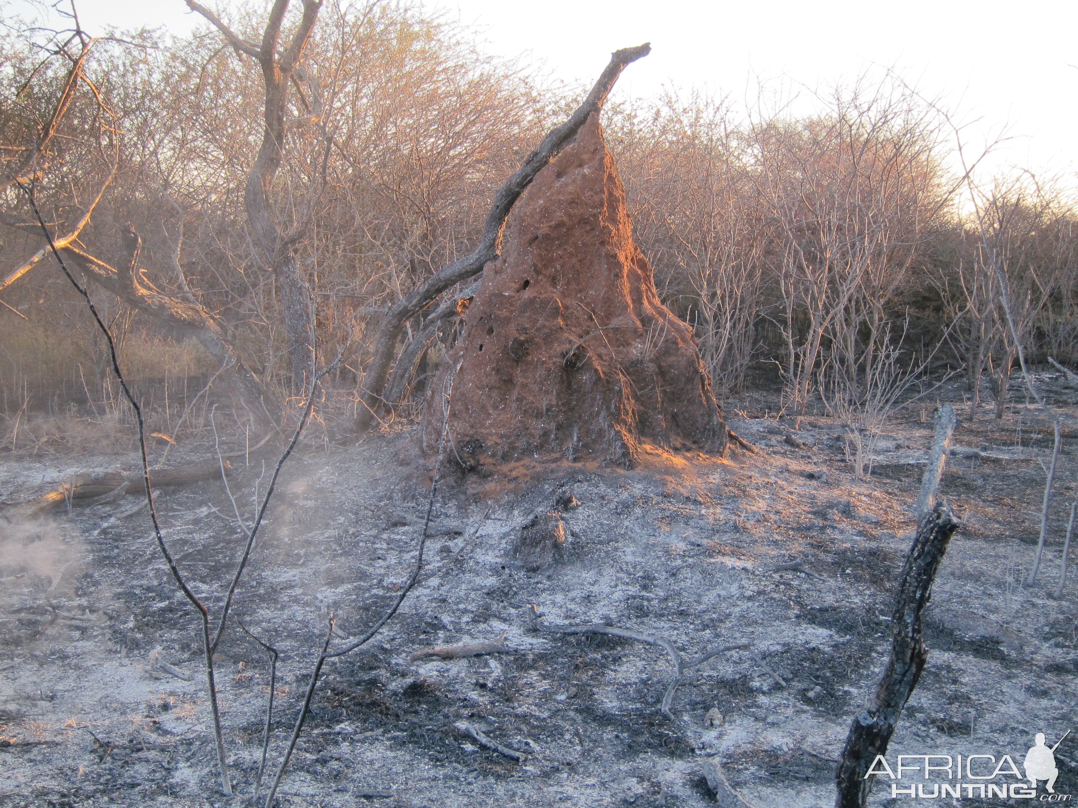 Controlled Bush Fire Namibia