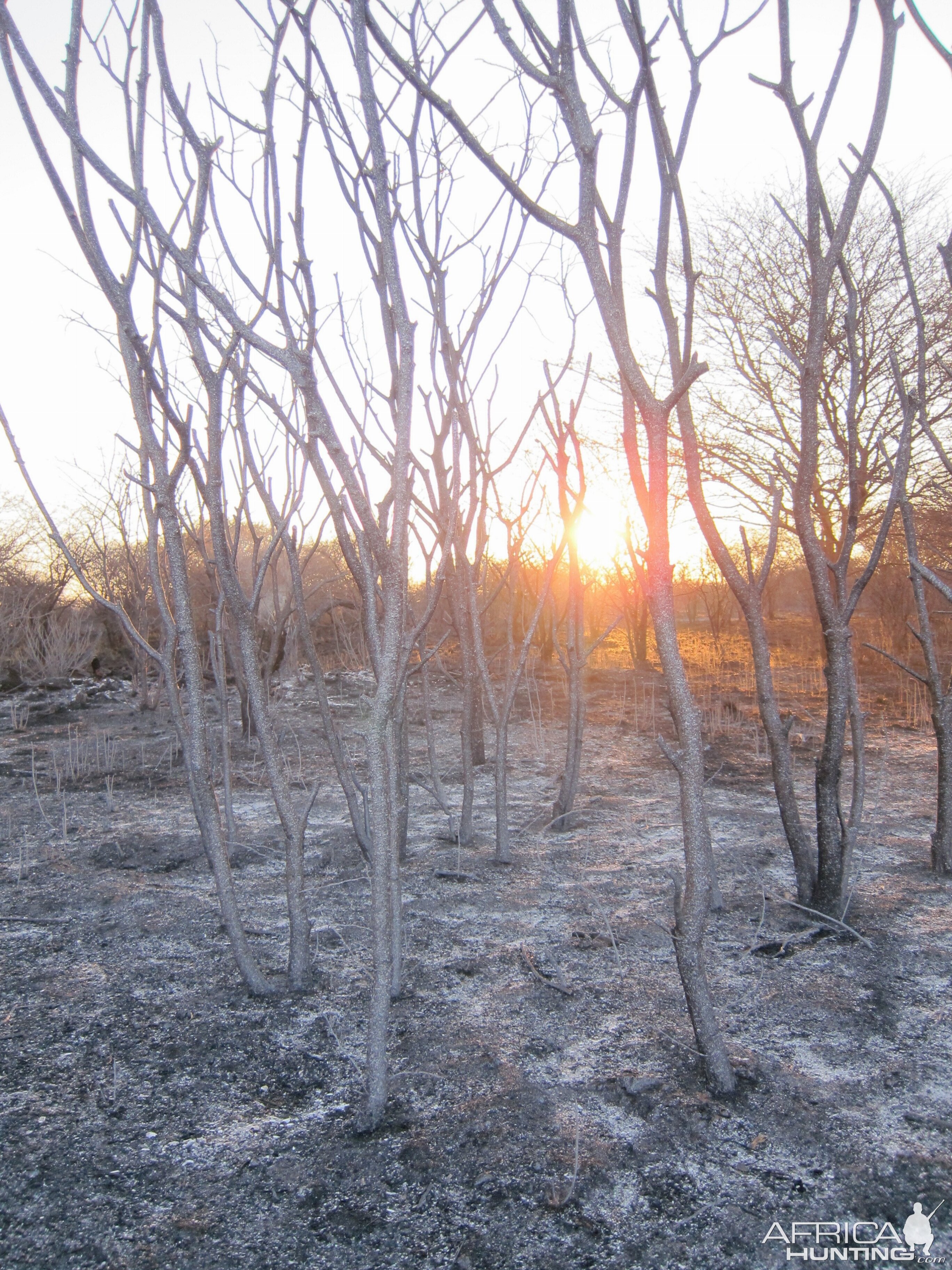 Controlled Bush Fire Namibia